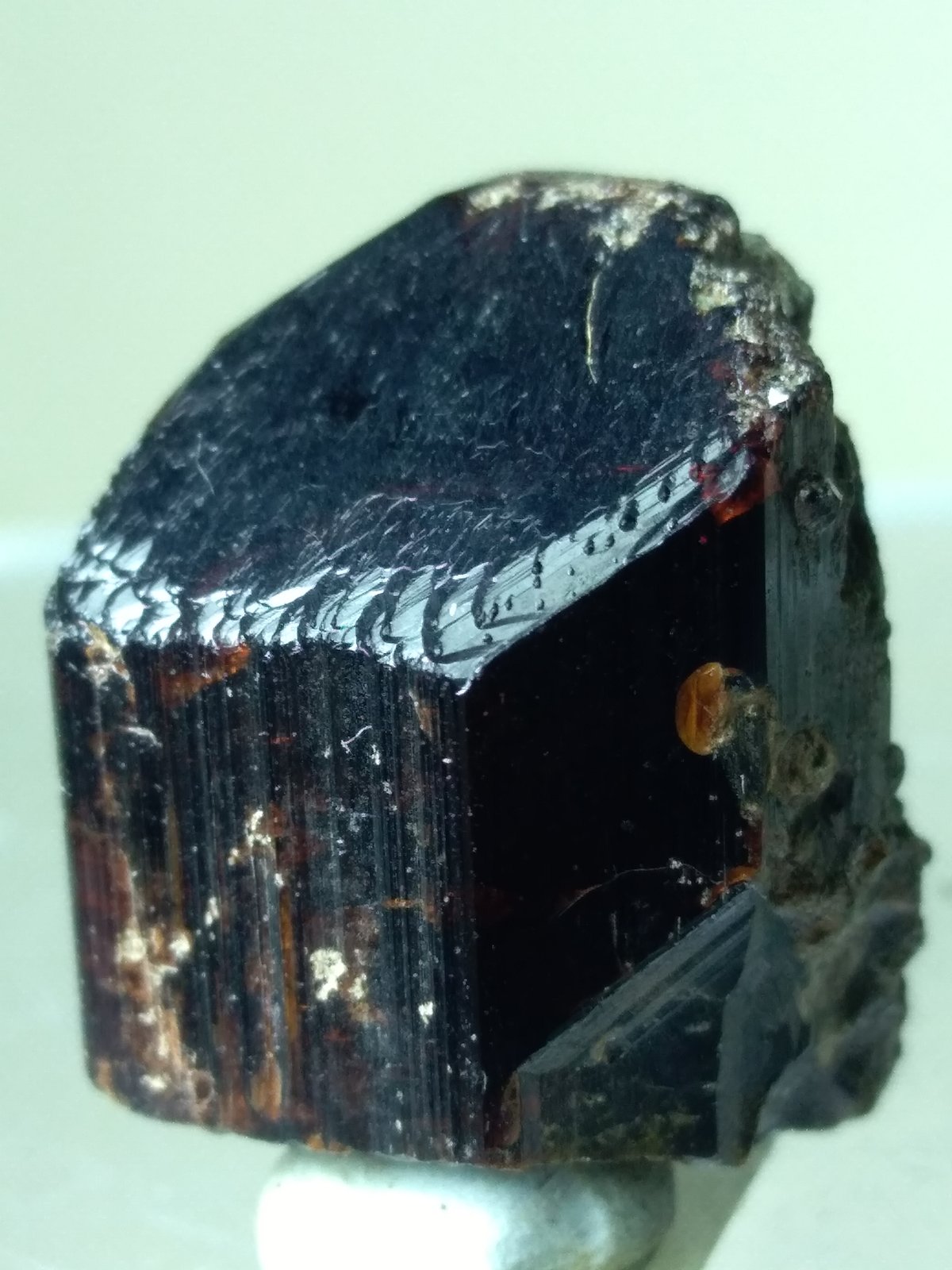 Vesuvianita (Vesubiana)
22 x 16 mm
(Autor: Sante Celiberti)