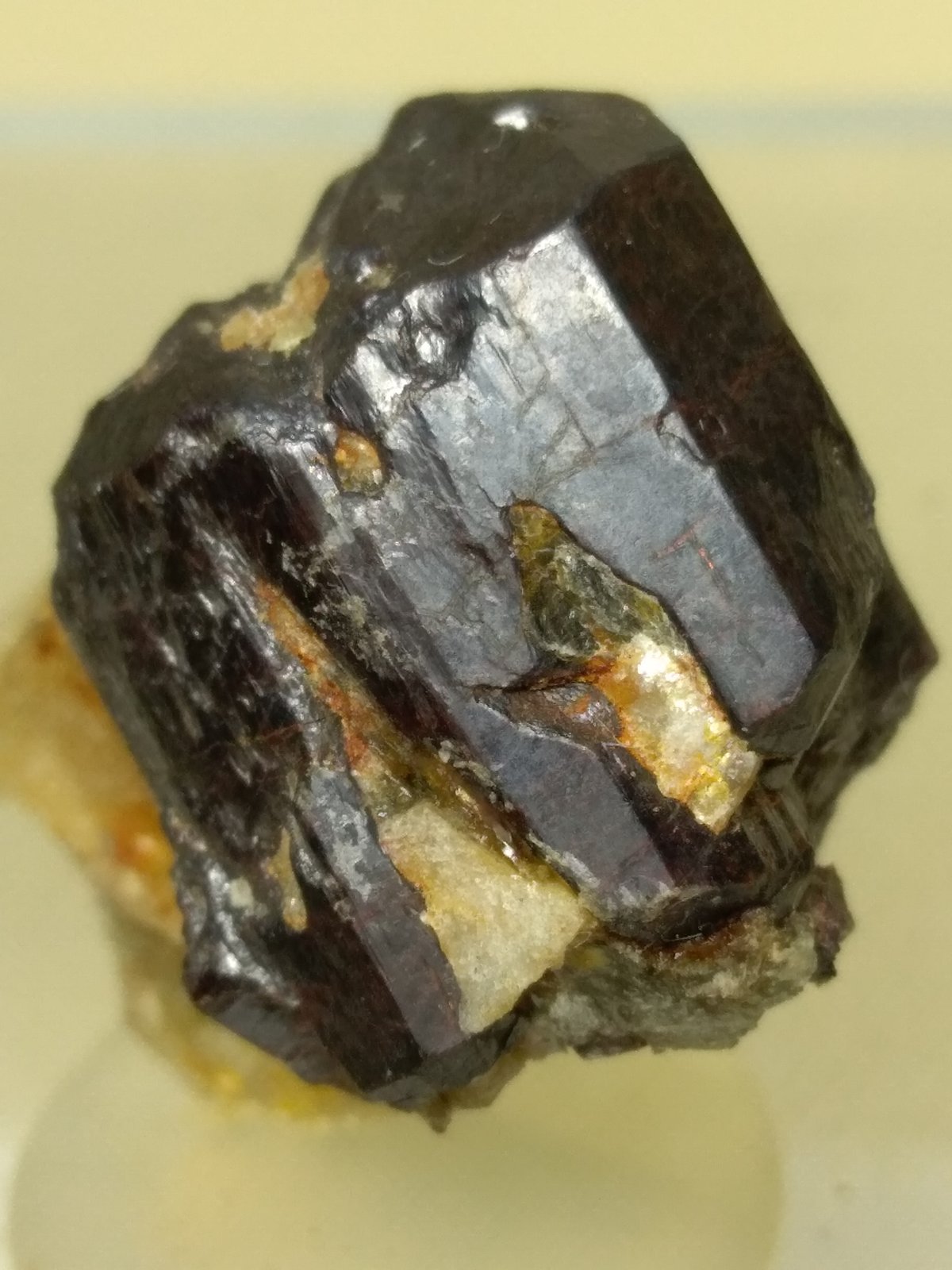 Rutilo
25 x 24 mm
(Autor: Sante Celiberti)