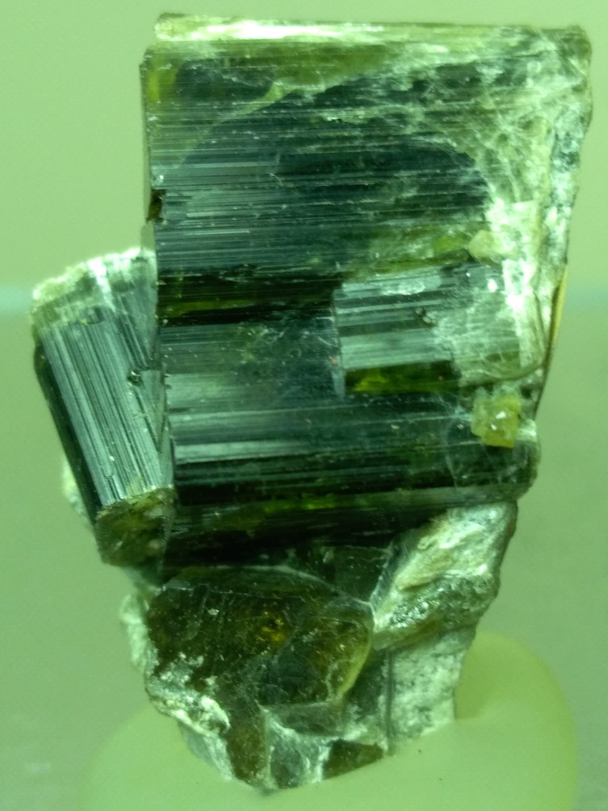 Vesuvianita (Vesubiana)
28 x 23 mm
(Autor: Sante Celiberti)