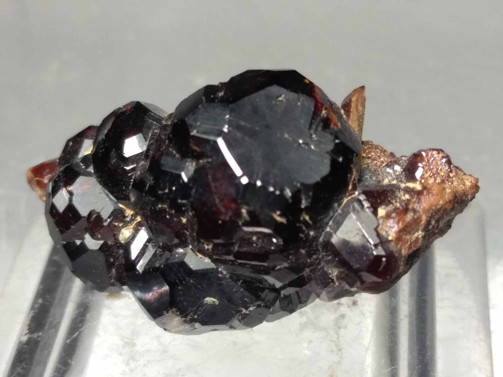 Grossularia (variedad hessonita)
26 x 14 mm
(Autor: Sante Celiberti)