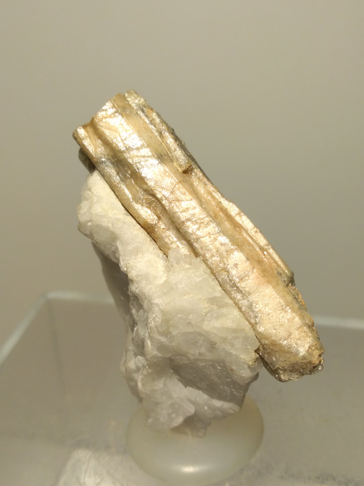 Sillimanita
50 x 40 mm
(Autor: Sante Celiberti)