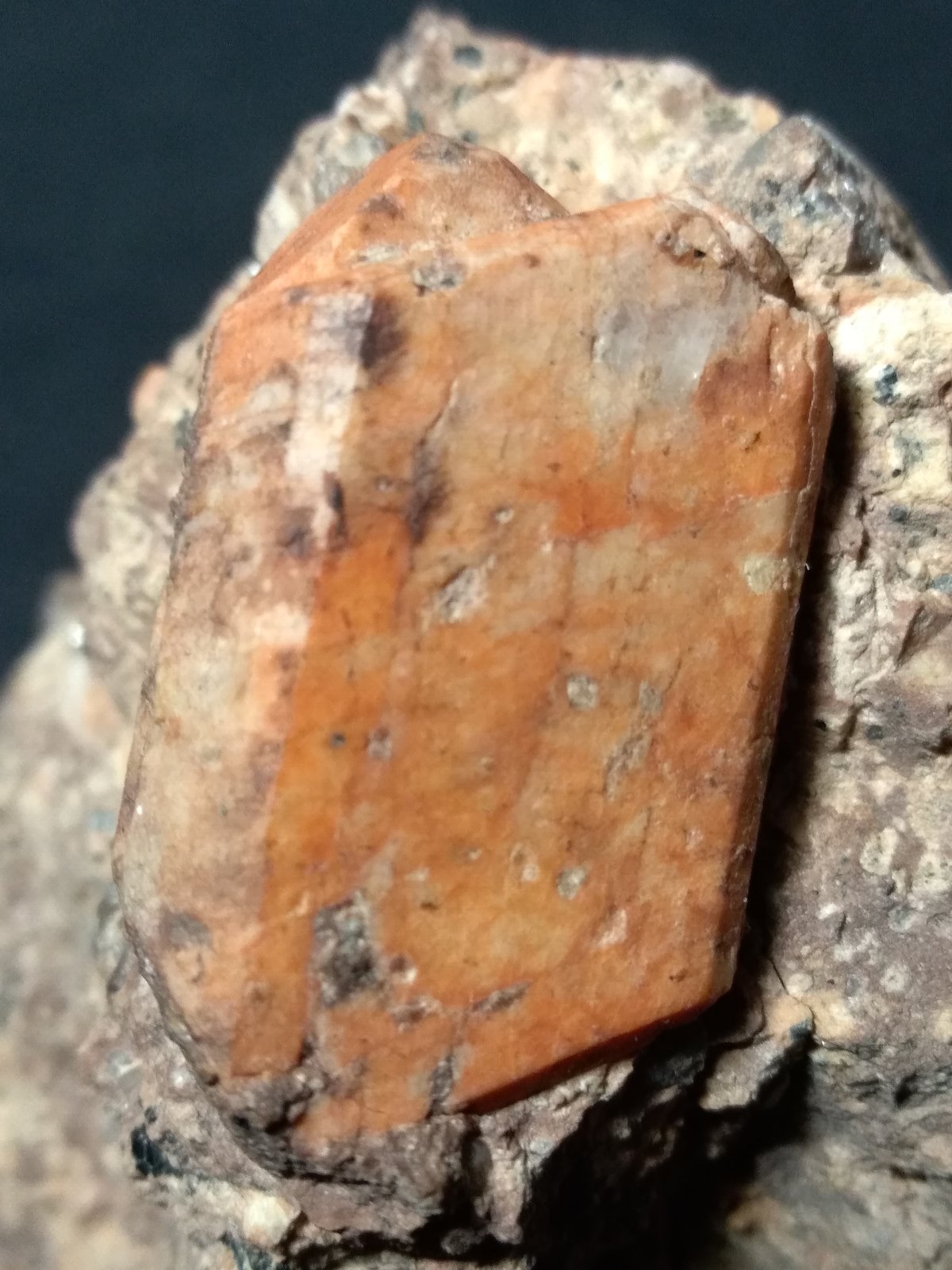 Ortoclasa
78 x 58 mm
(Autor: Sante Celiberti)