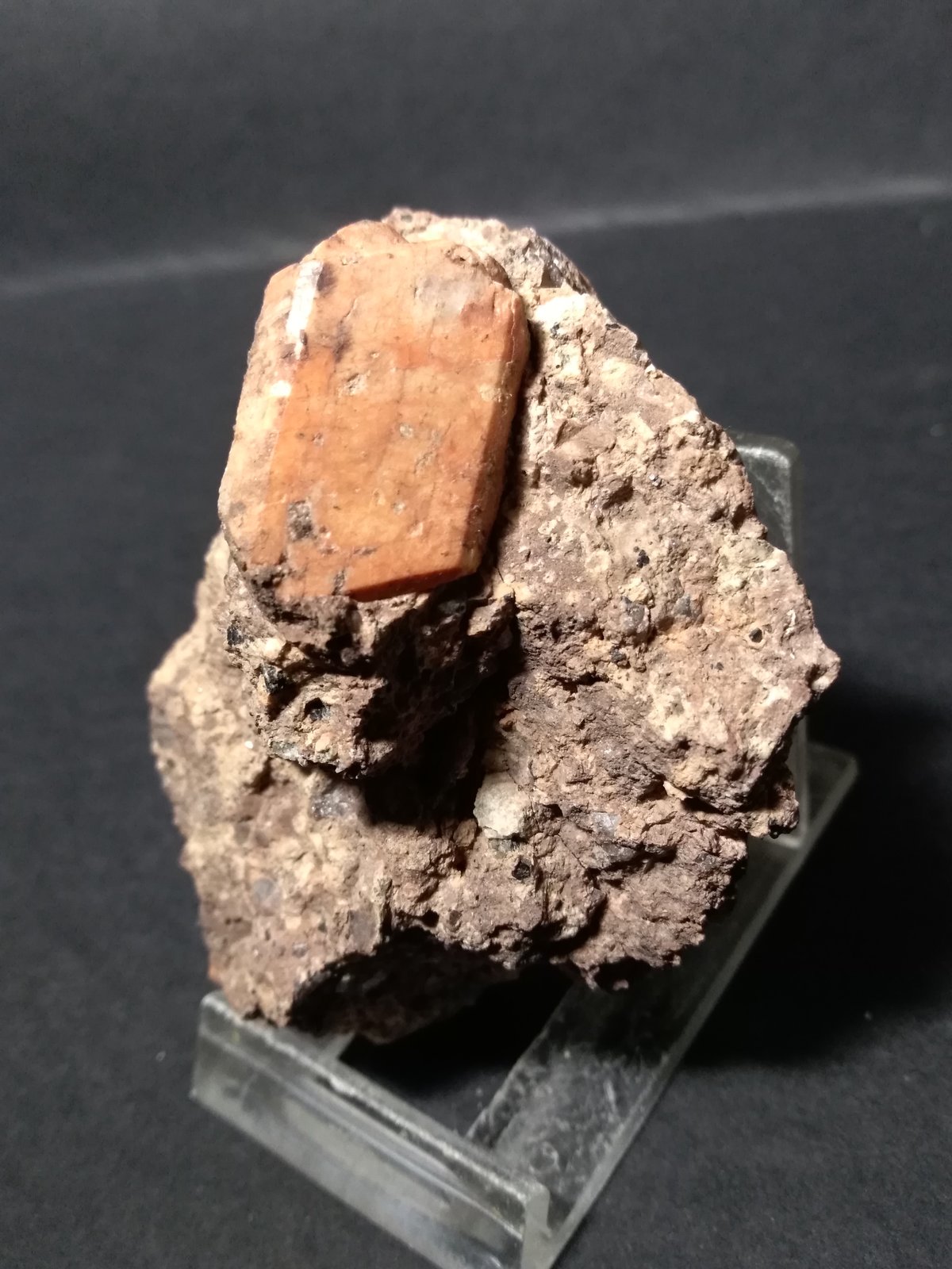 Ortoclasa
78 x 58 mm
(Autor: Sante Celiberti)