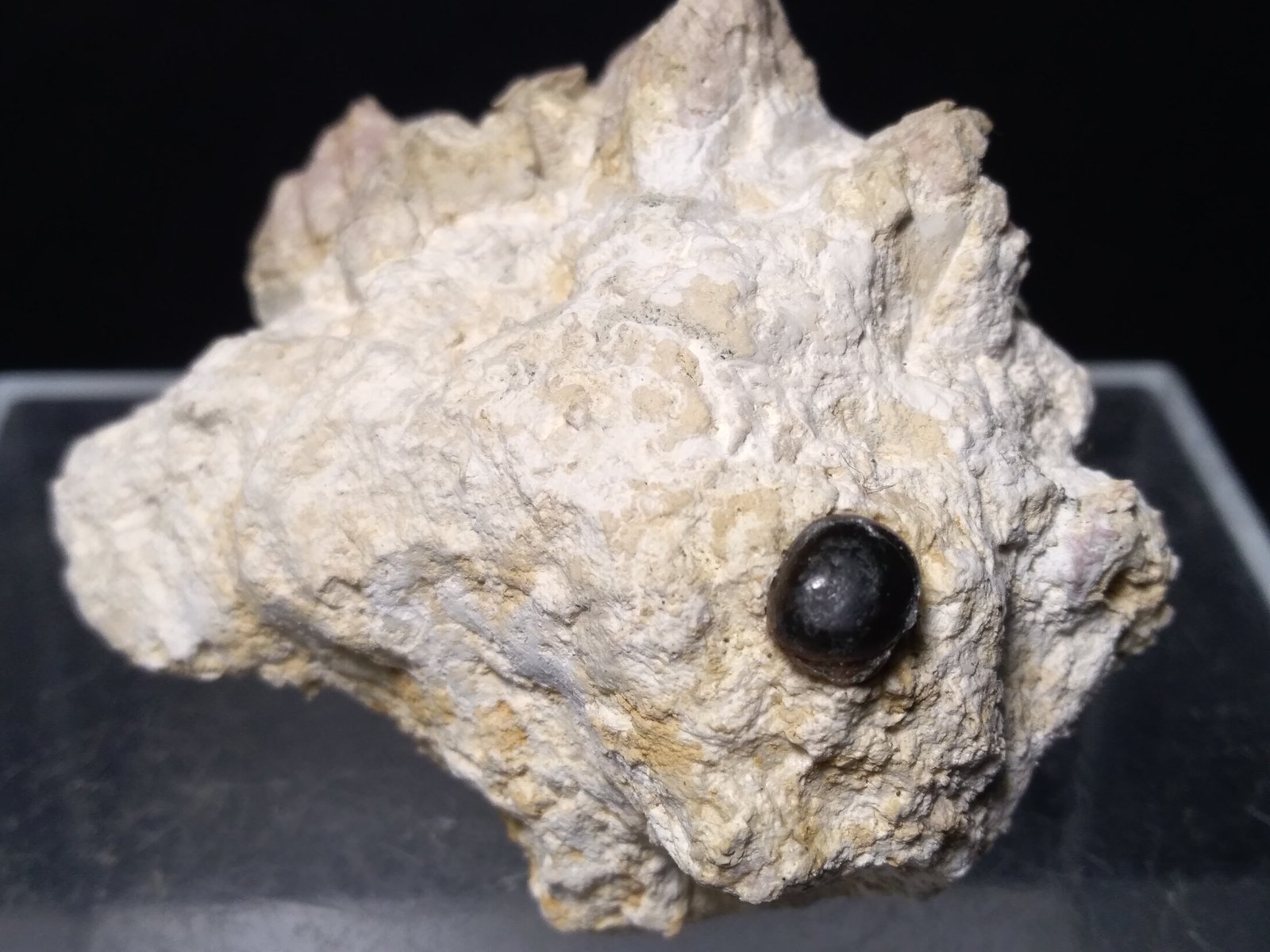 glauconita
52 x 42 mm
(Autor: Sante Celiberti)