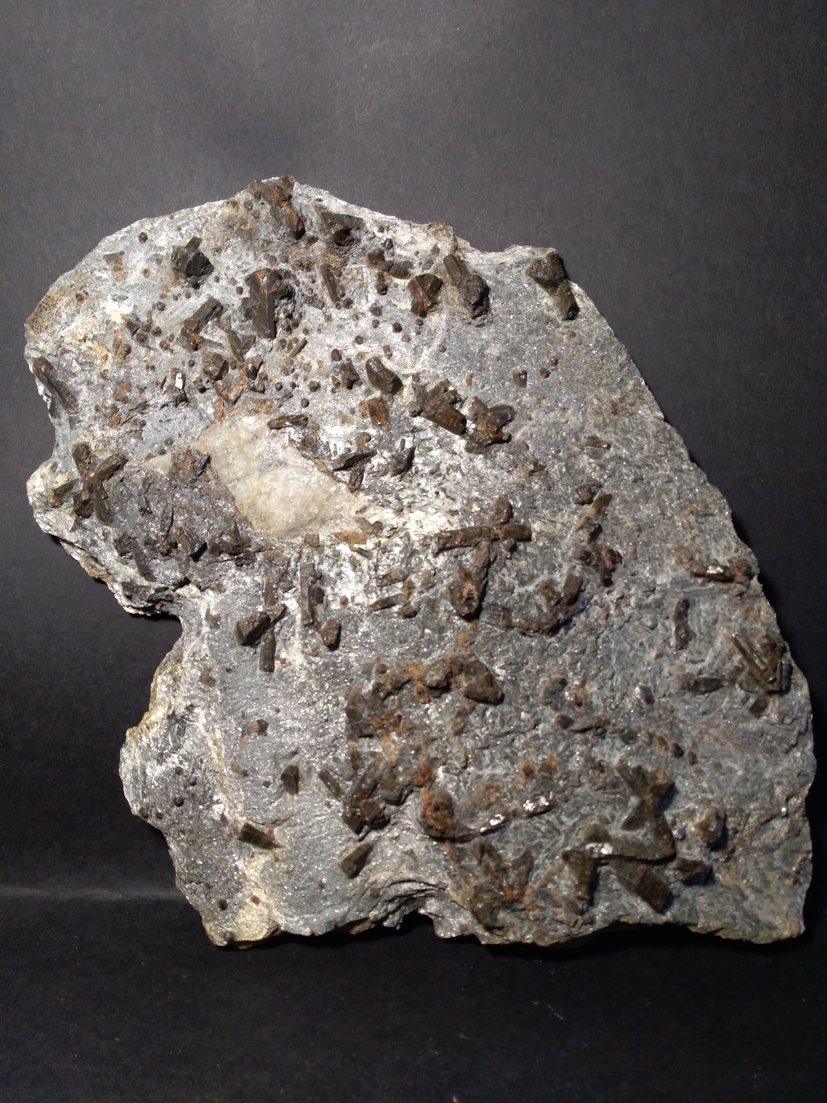 Estaurolita
310 x 240 mm
(Autor: Sante Celiberti)