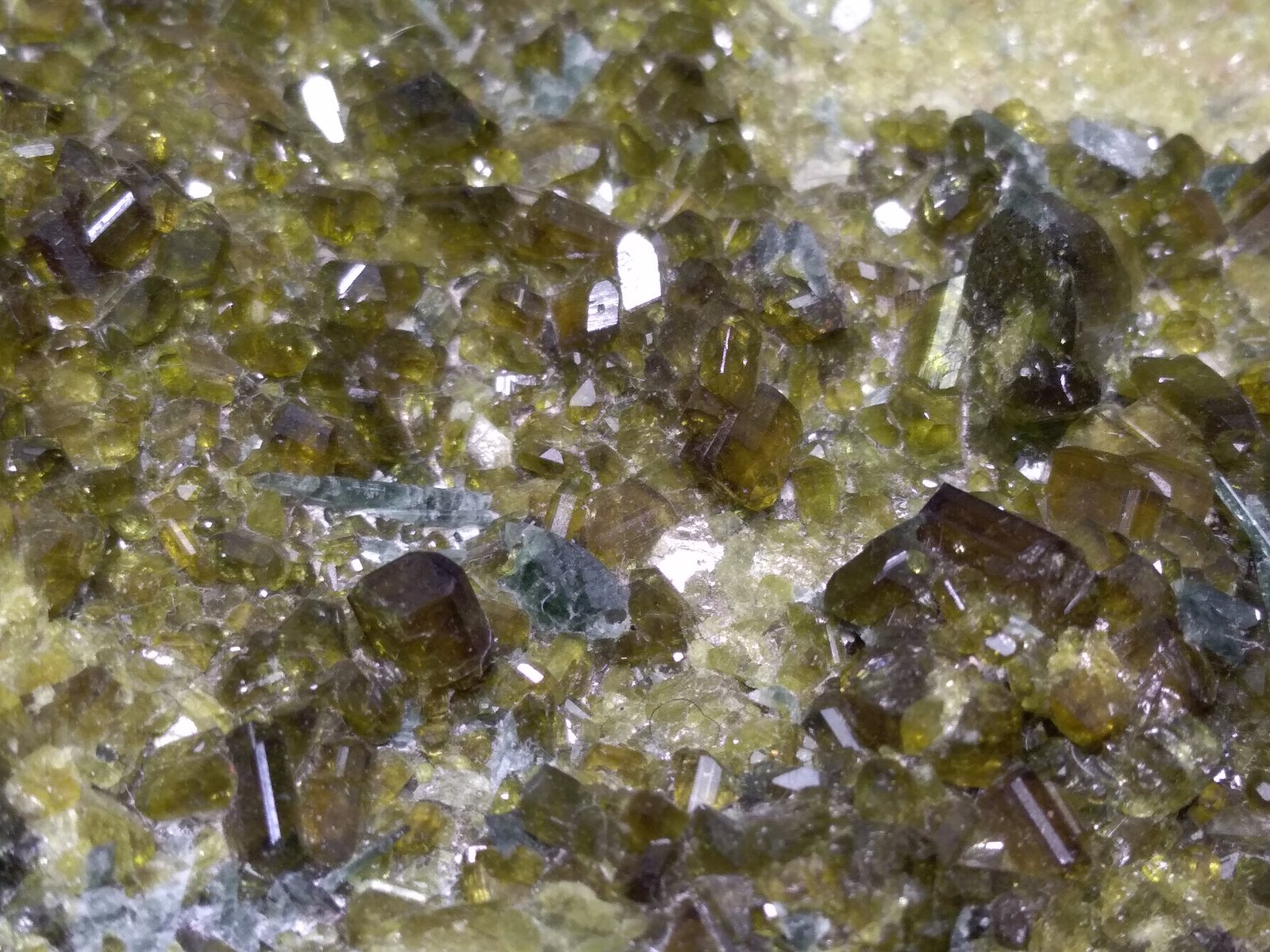 Epidota
290 x 100 mm
(Autor: Sante Celiberti)