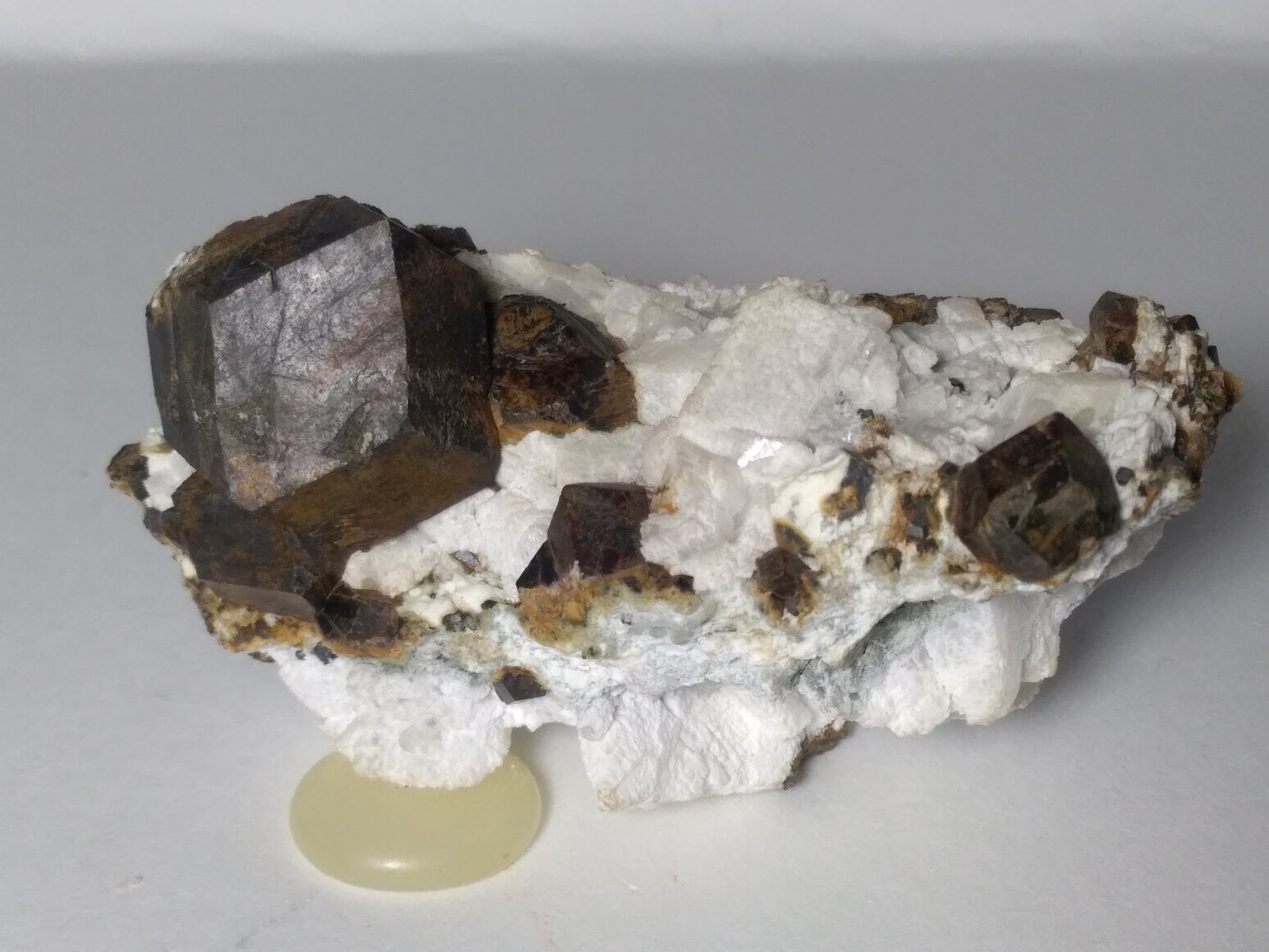 Magnetita
65 x 37 mm
(Autor: Sante Celiberti)