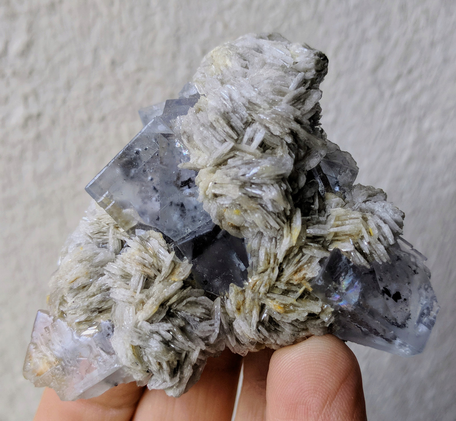 Fluorita, Barita
6,5 x 5,8 x 3,2 cm.
(Autor: carles)