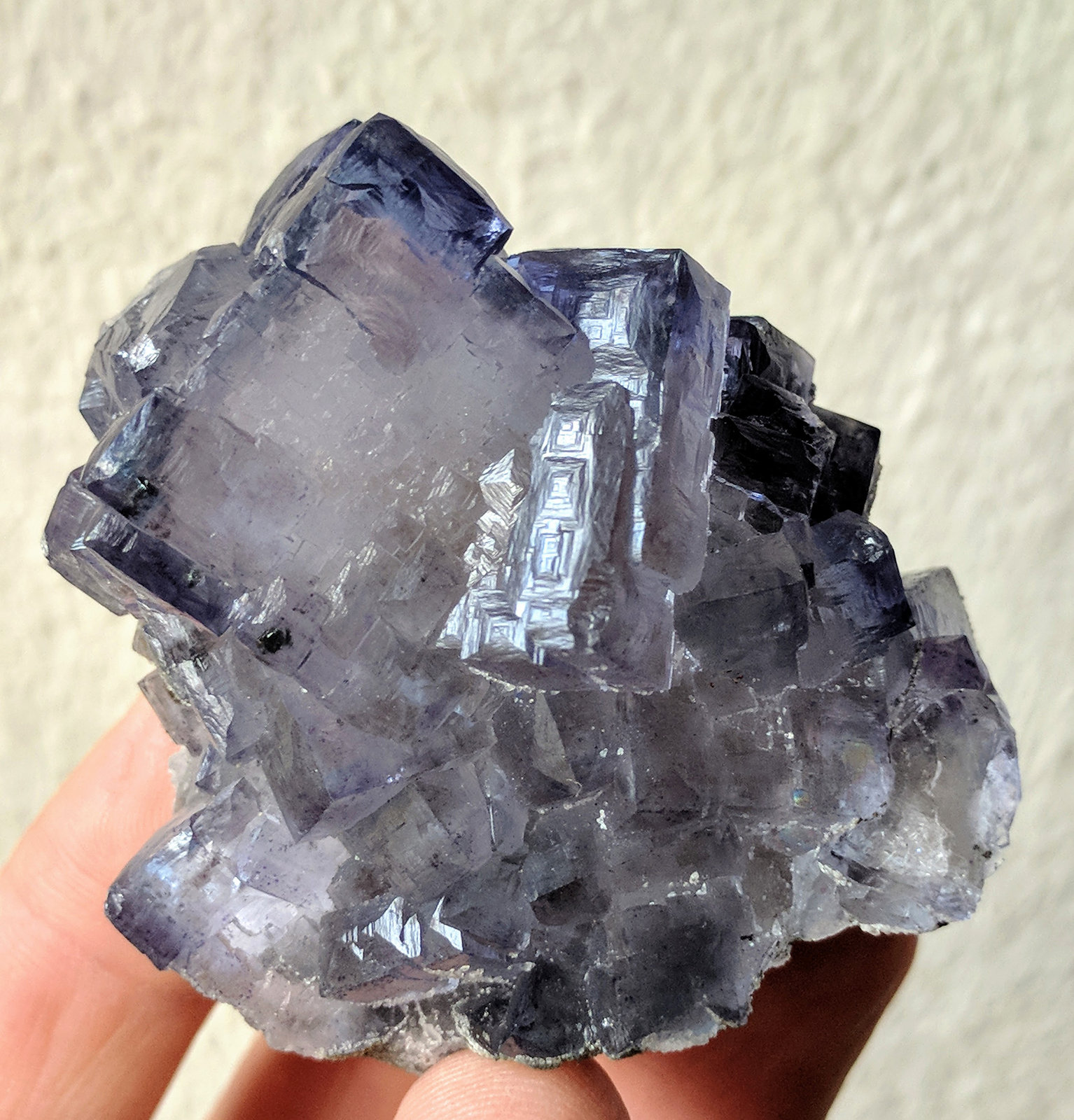 Fluorita
5,2 x 5,2 x 4,3 cm.
(Autor: carles)