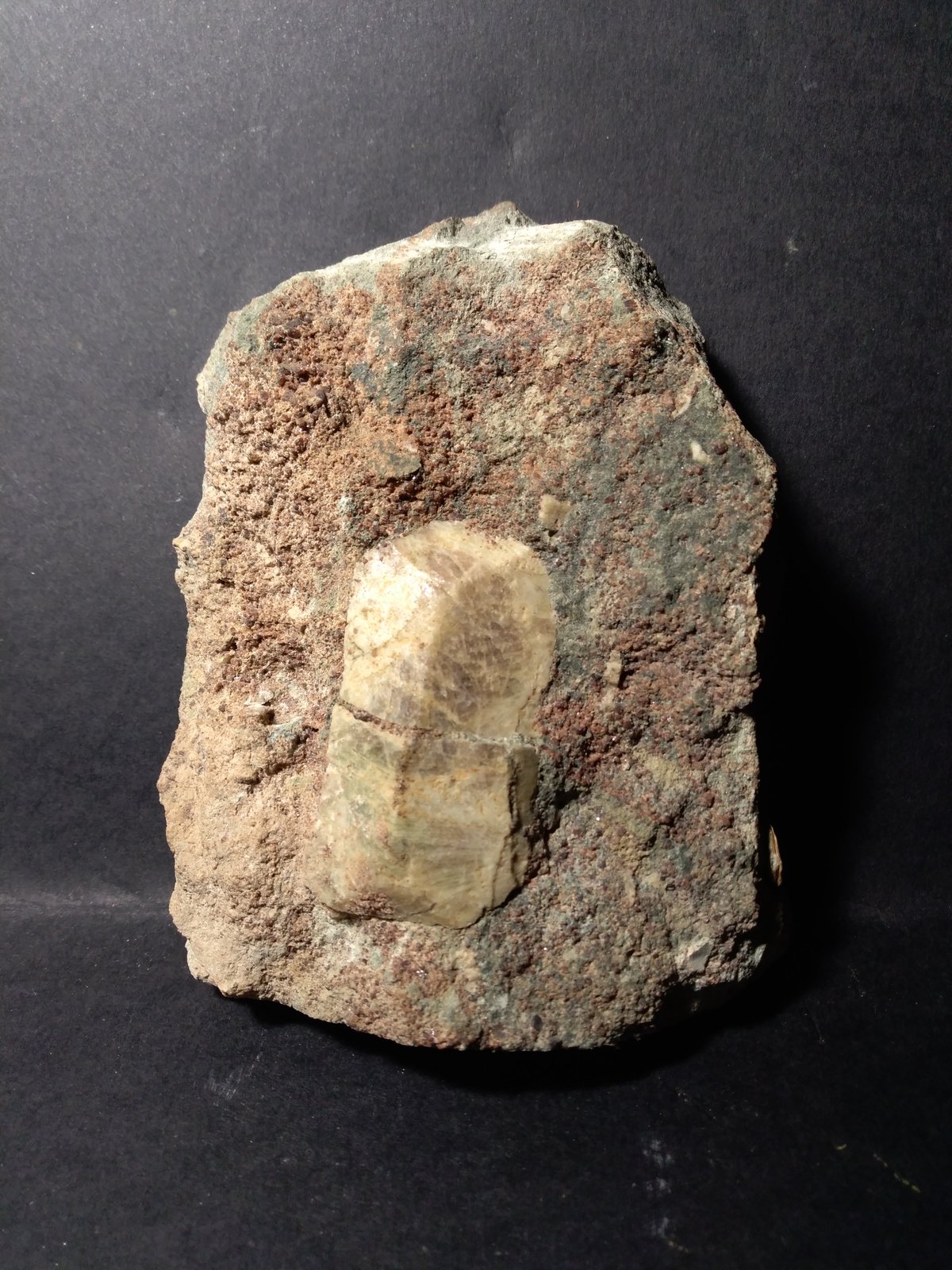Titanita, Grossularia
122 x 92 mm
(Autor: Sante Celiberti)