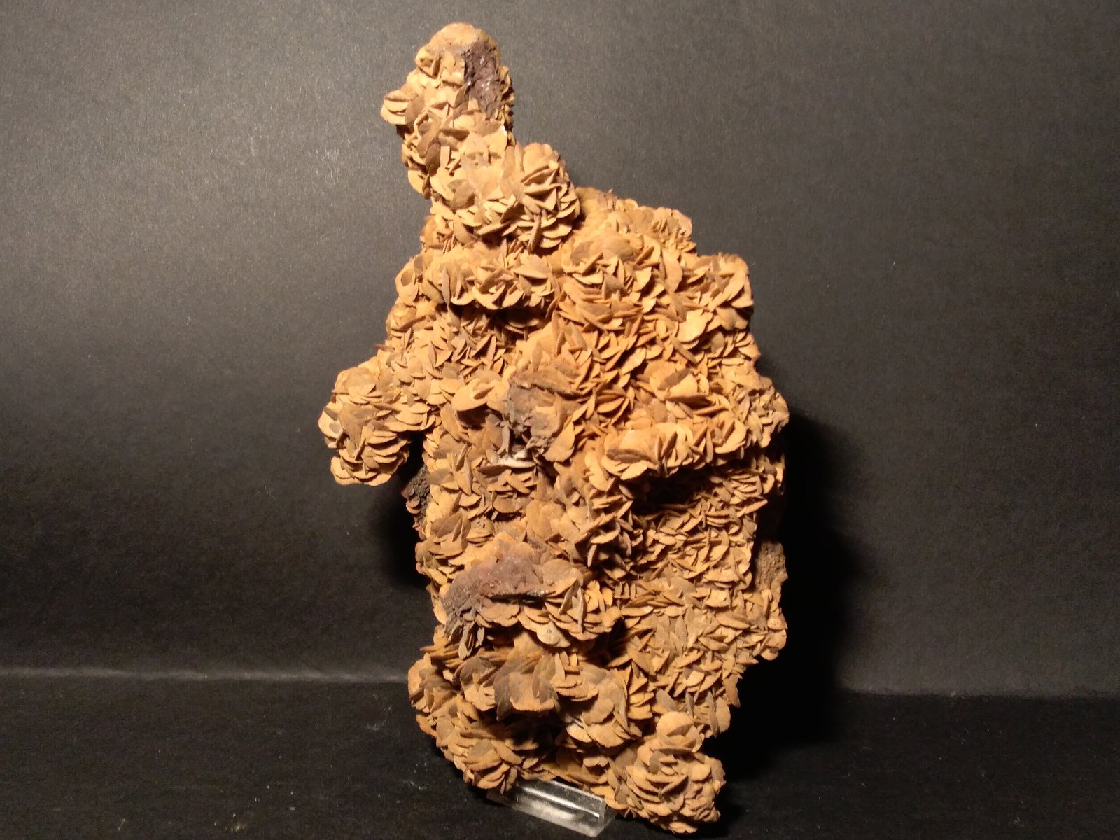 Siderita
260 x 140 mm
(Autor: Sante Celiberti)