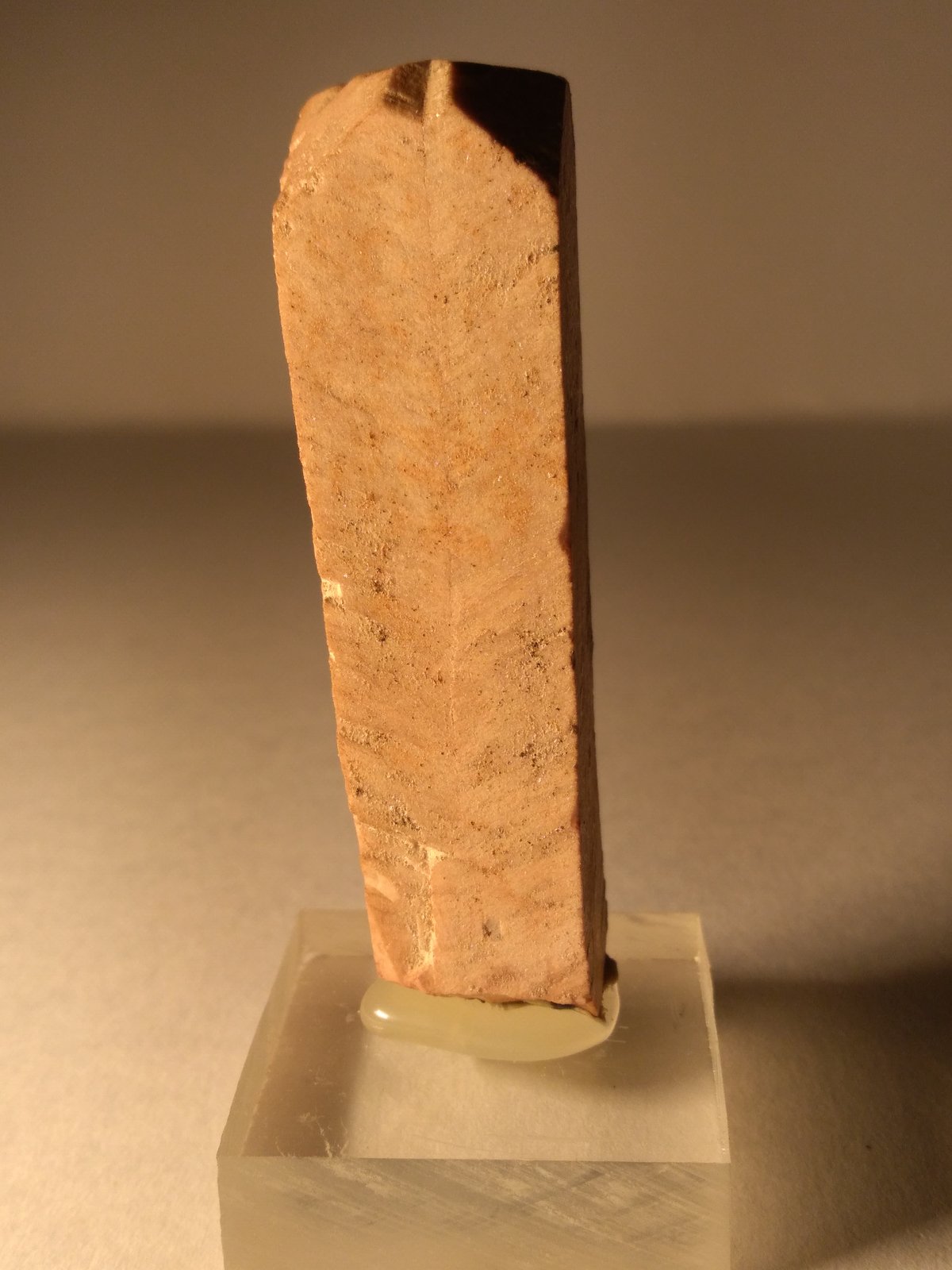 Ortoclasa
60 x 17 mm
(Autor: Sante Celiberti)