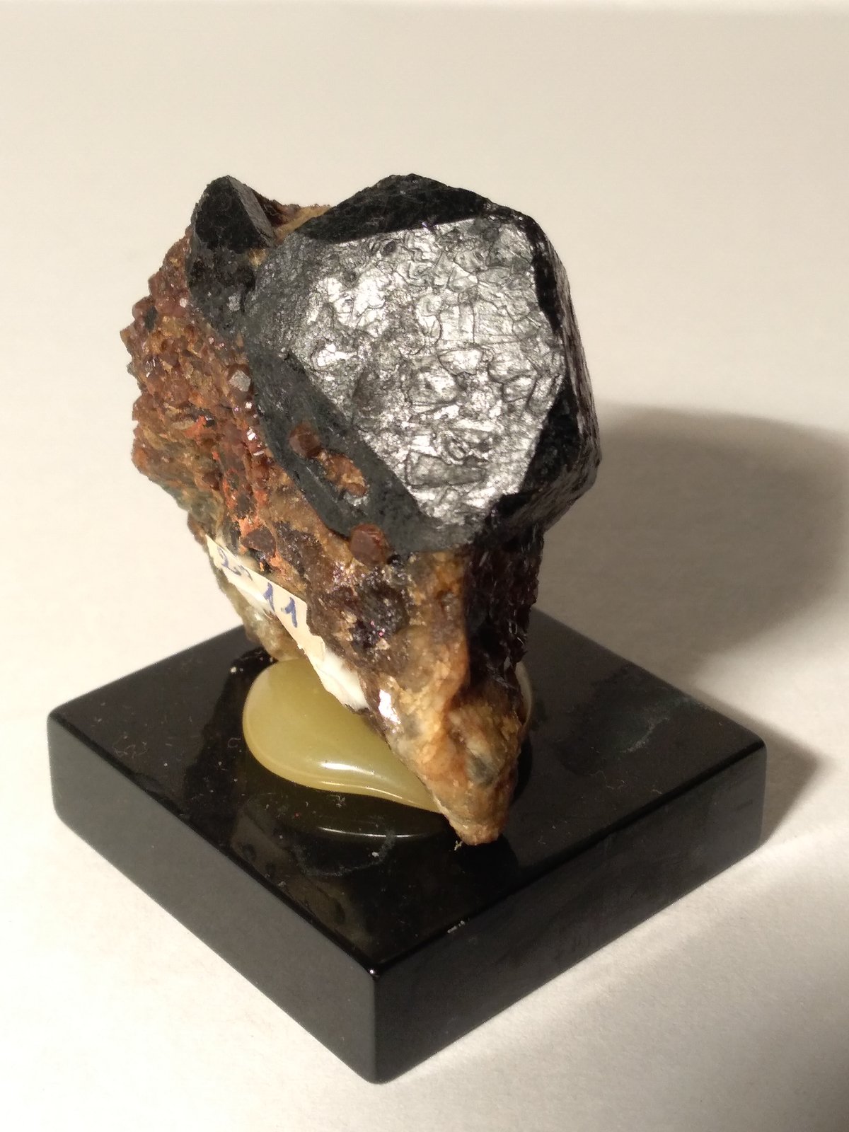 Chorlo
46 x 46 mm
(Autor: Sante Celiberti)