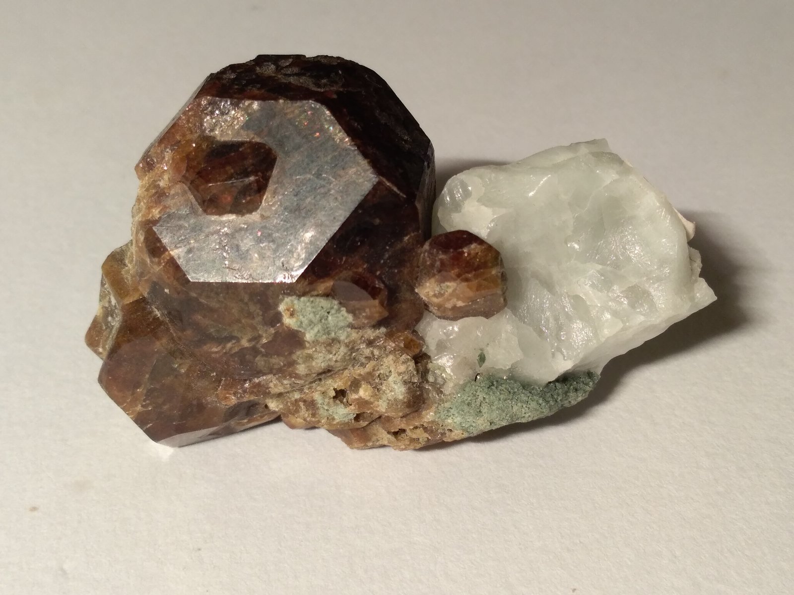 Vesuvianita (Vesubiana)
61 x 40 mm
(Autor: Sante Celiberti)