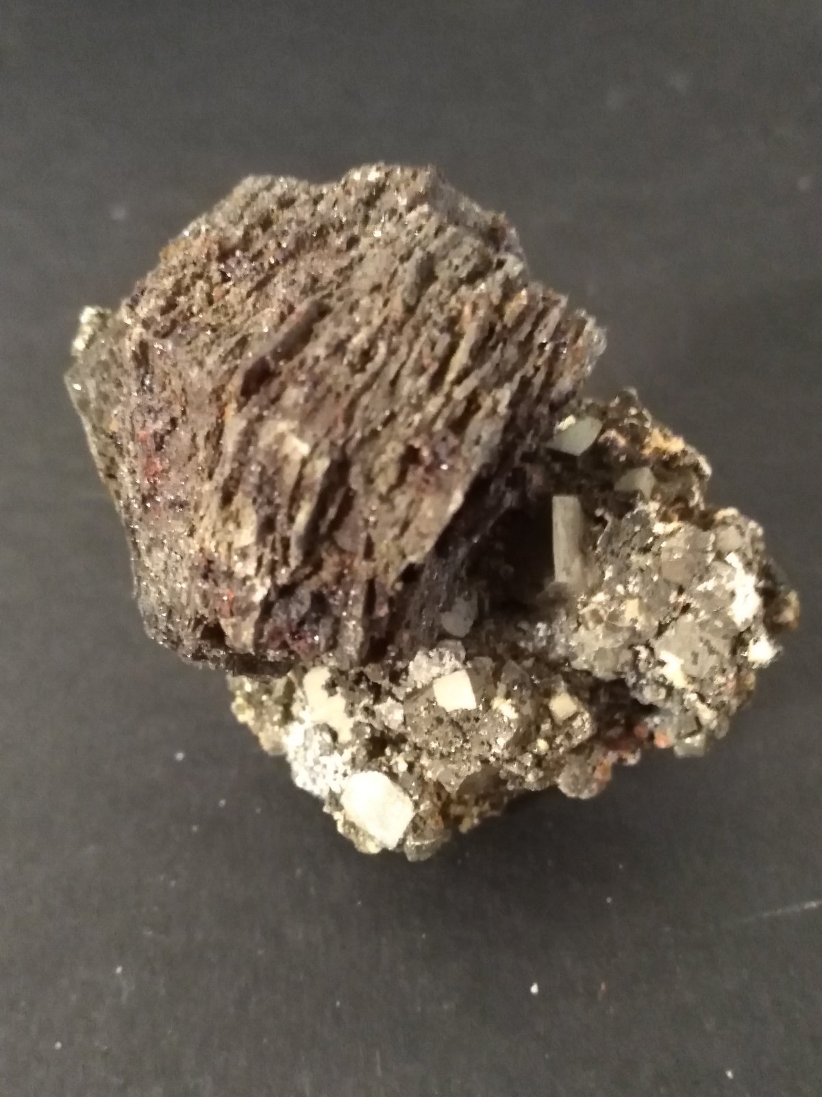 Pirrotita, Pirita
57 x 46 mm
(Autor: Sante Celiberti)