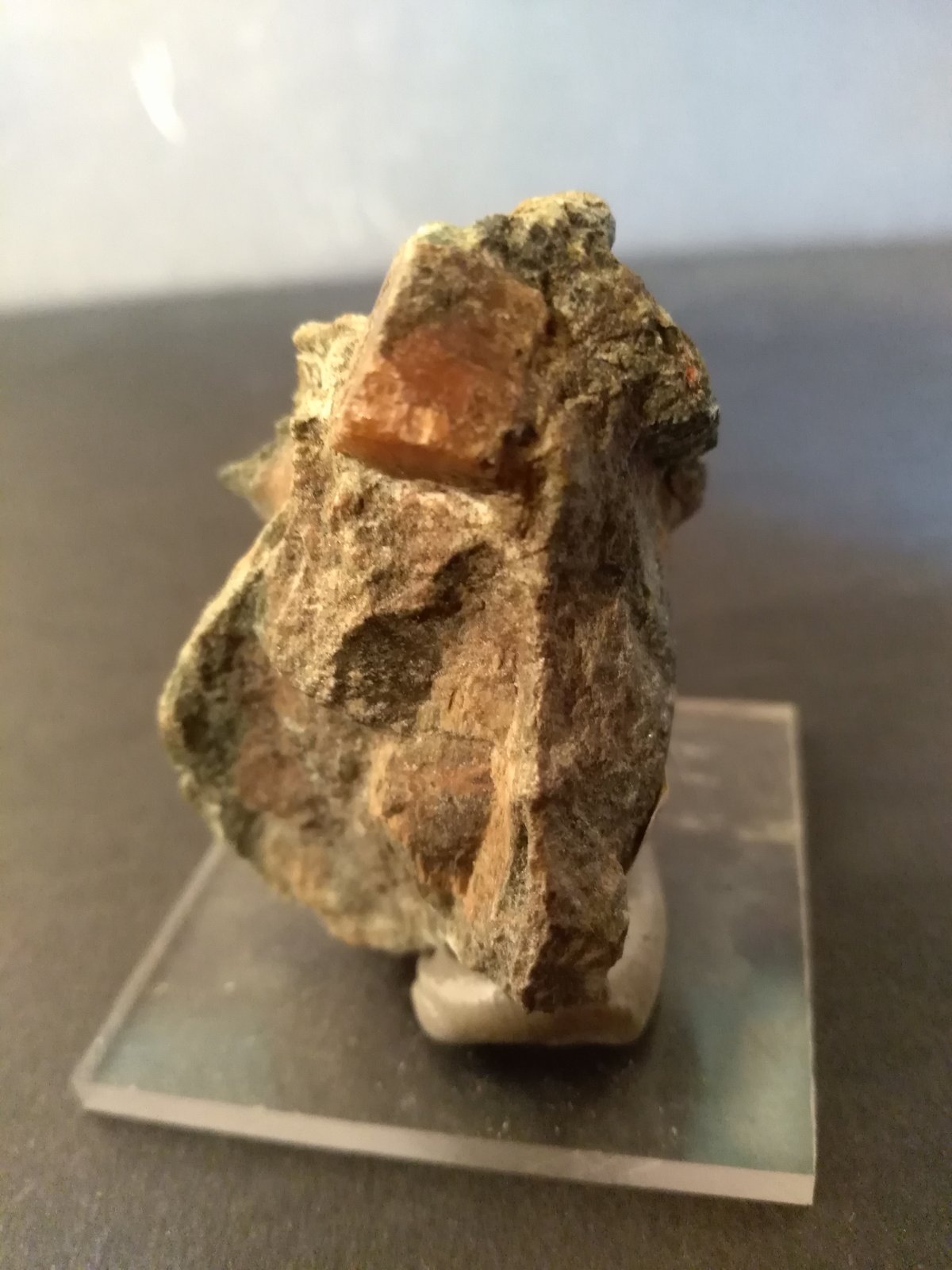 Perovskita, Clinochloro
53 x 44 mm
(Autor: Sante Celiberti)