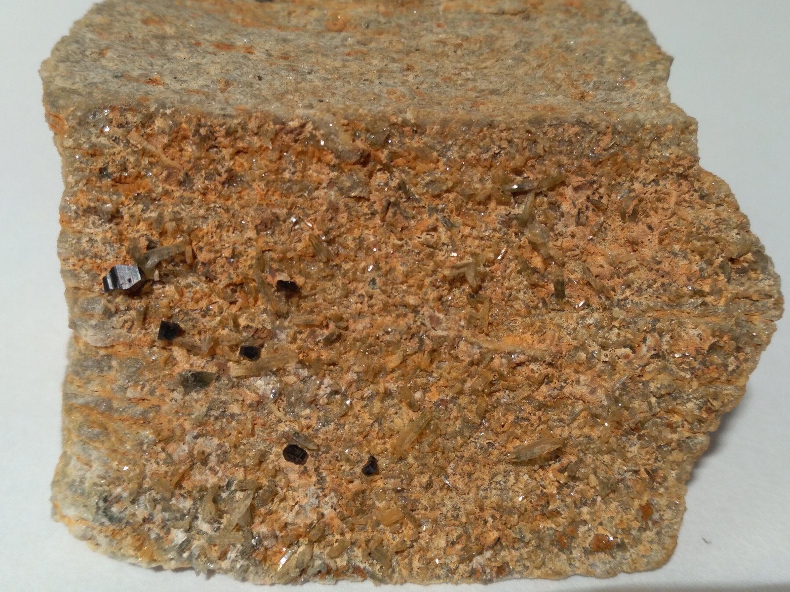Anatasa, Cuarzo
67 x 60 mm
(Autor: Sante Celiberti)