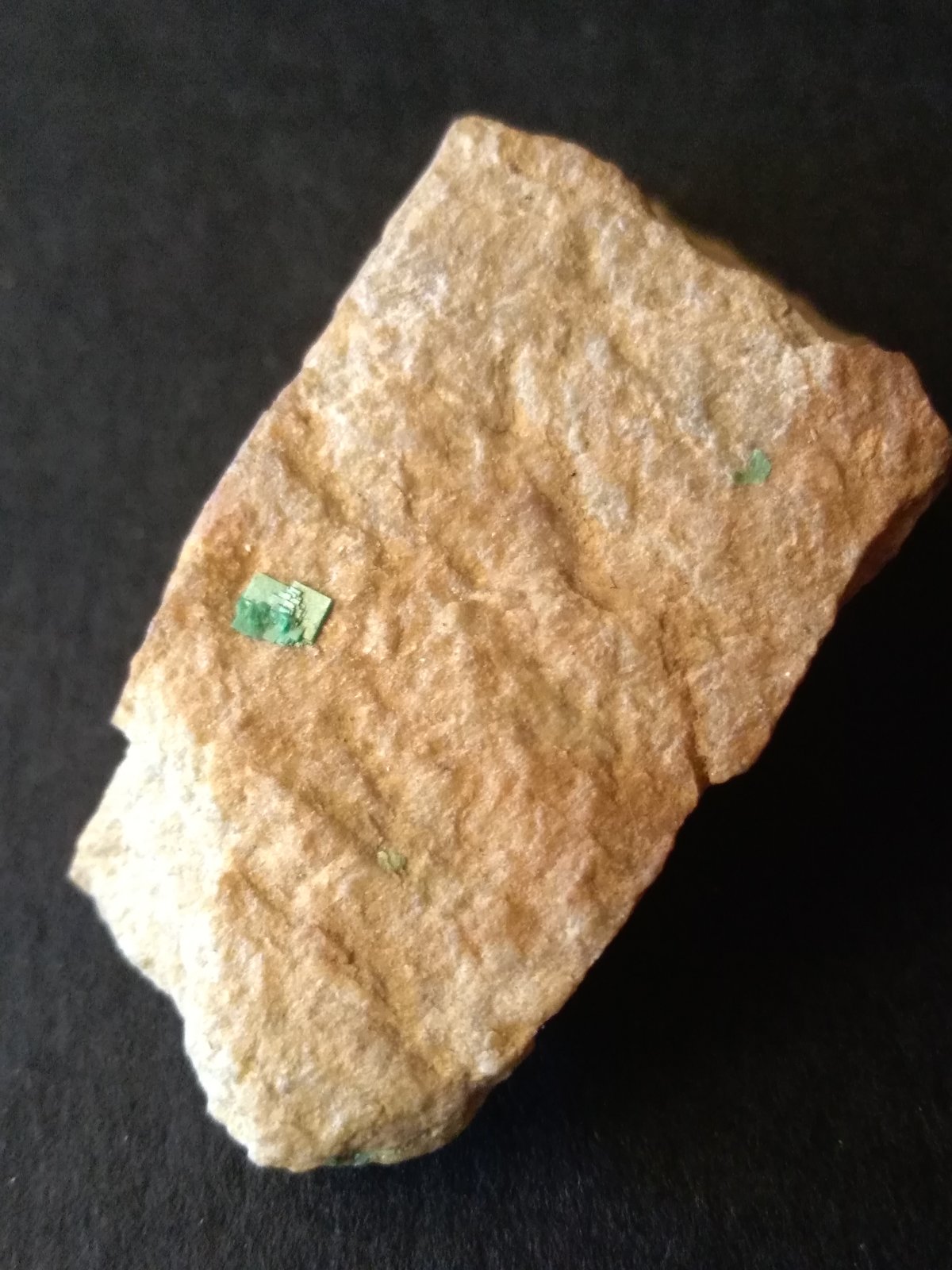 Torbernita
43 x 21 mm
(Autor: Sante Celiberti)