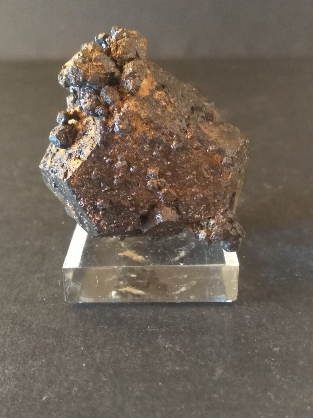 Goethita (pseudomórfica de pirita)
46 x 43 mm
(Autor: Sante Celiberti)