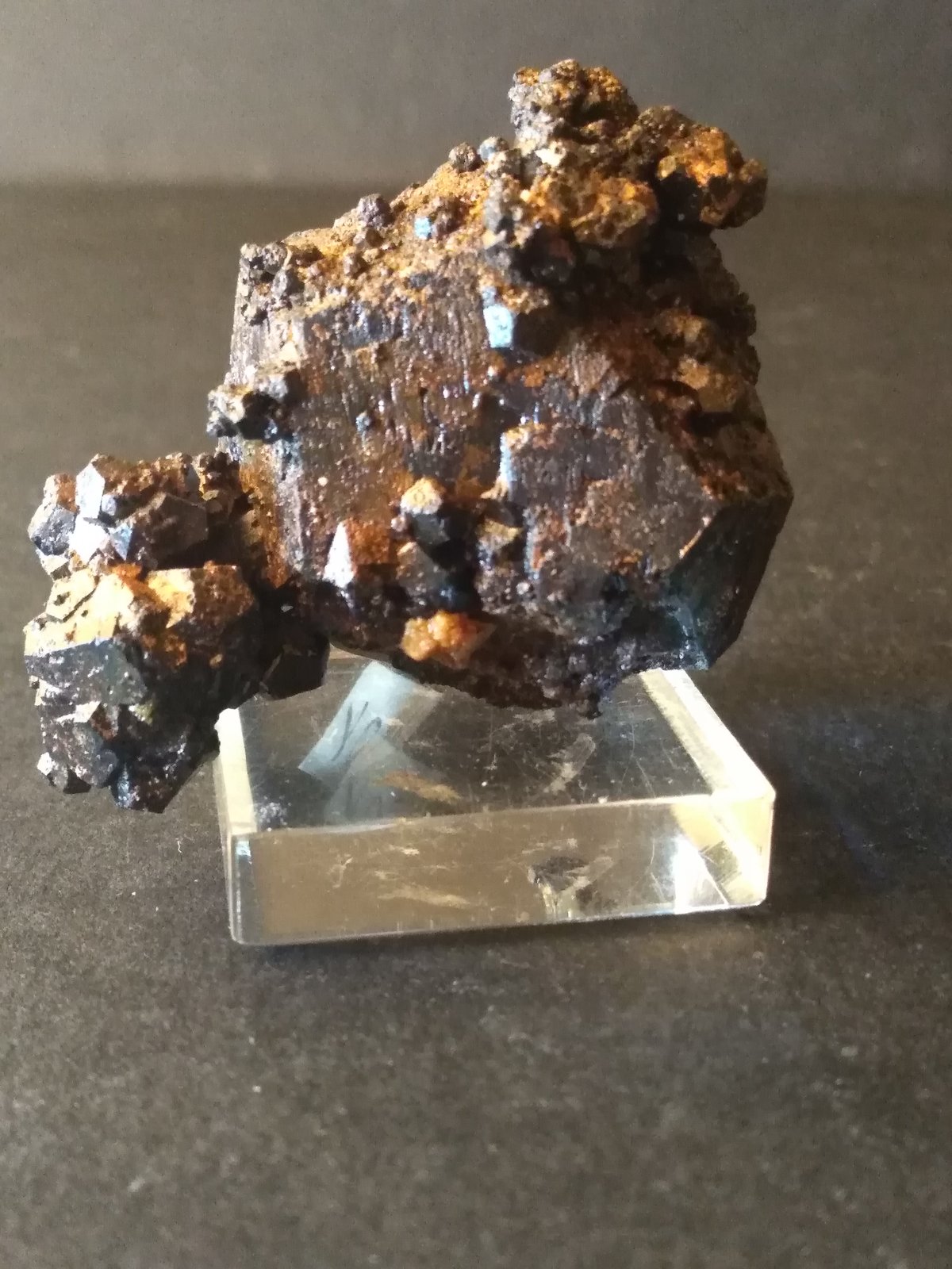 Goethita (pseudomórfica de pirita)
46 x 43 mm
(Autor: Sante Celiberti)