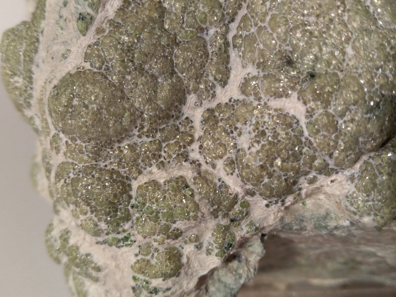 Andradita (variedad demantoide)
135 x 80 mm
(Autor: Sante Celiberti)