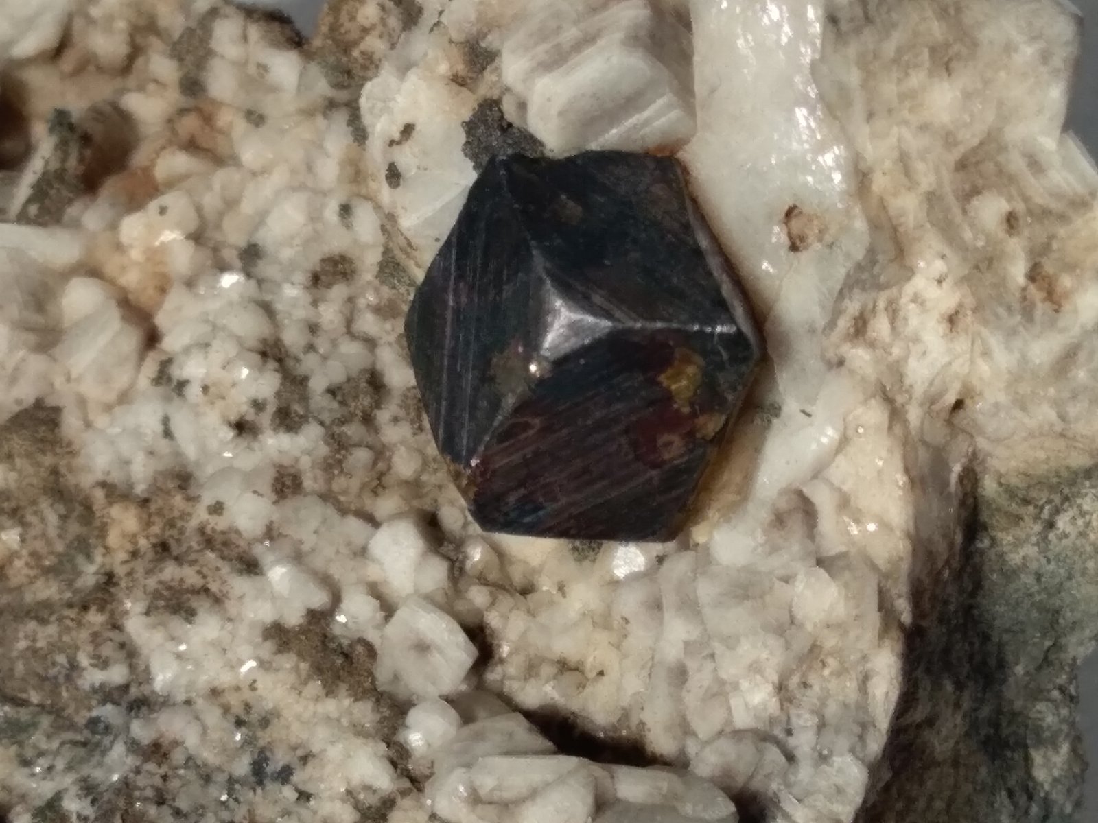 Albita (variedad periclino), Pirita
68 x 63 mm
(Autor: Sante Celiberti)