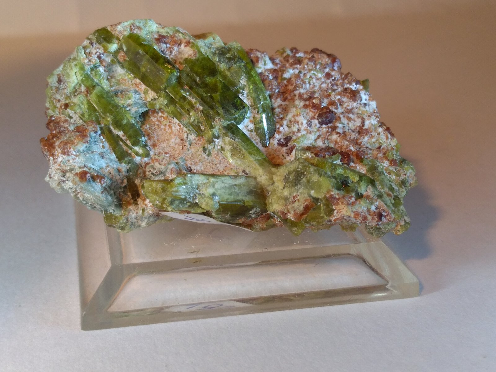 Epidota, Grossularia
48 x 31 mm
(Autor: Sante Celiberti)