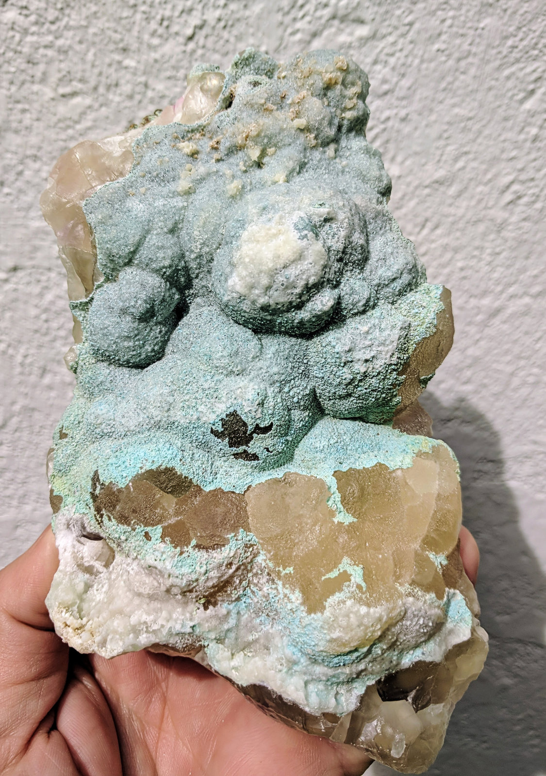 Aurichalcita (variedad zeiringita), Calcita, Calcita (variedad cobaltífera)
14,4 x 8,3 x 5,3 cm
(Autor: carles)