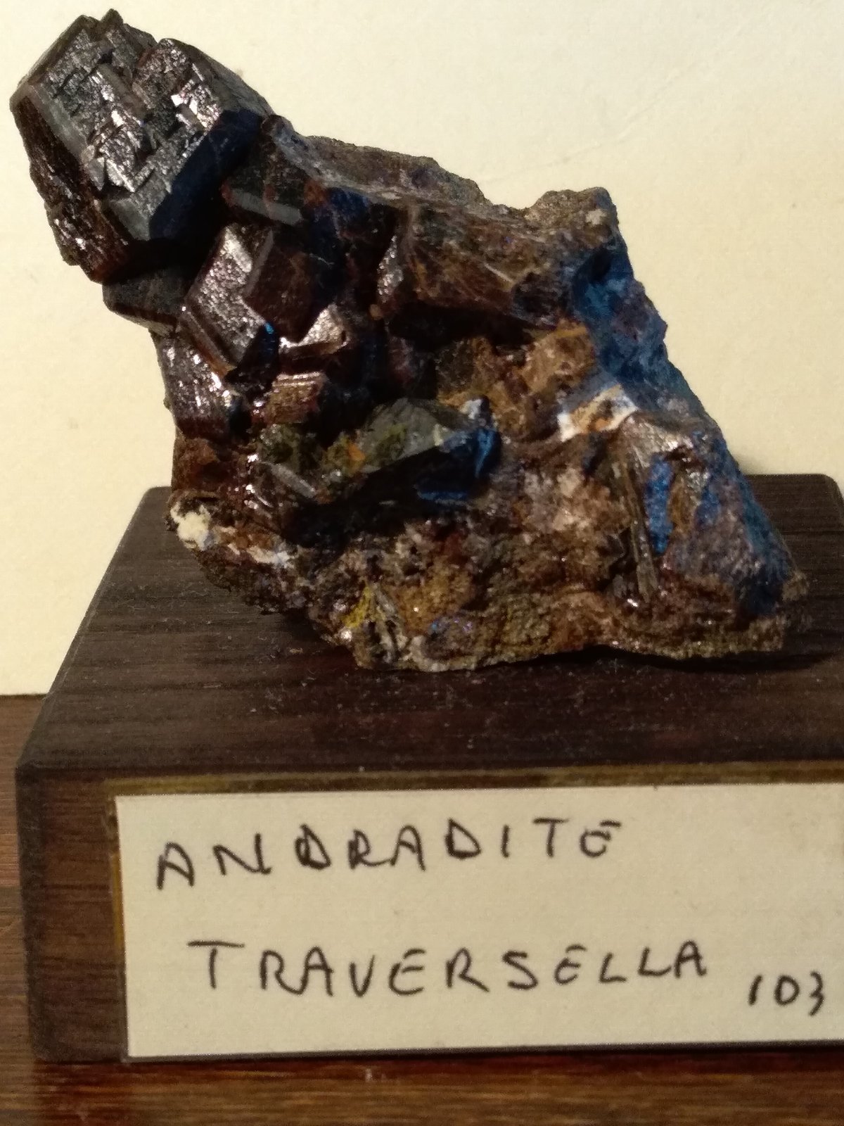 Andradita
66 x 40 mm
(Autor: Sante Celiberti)