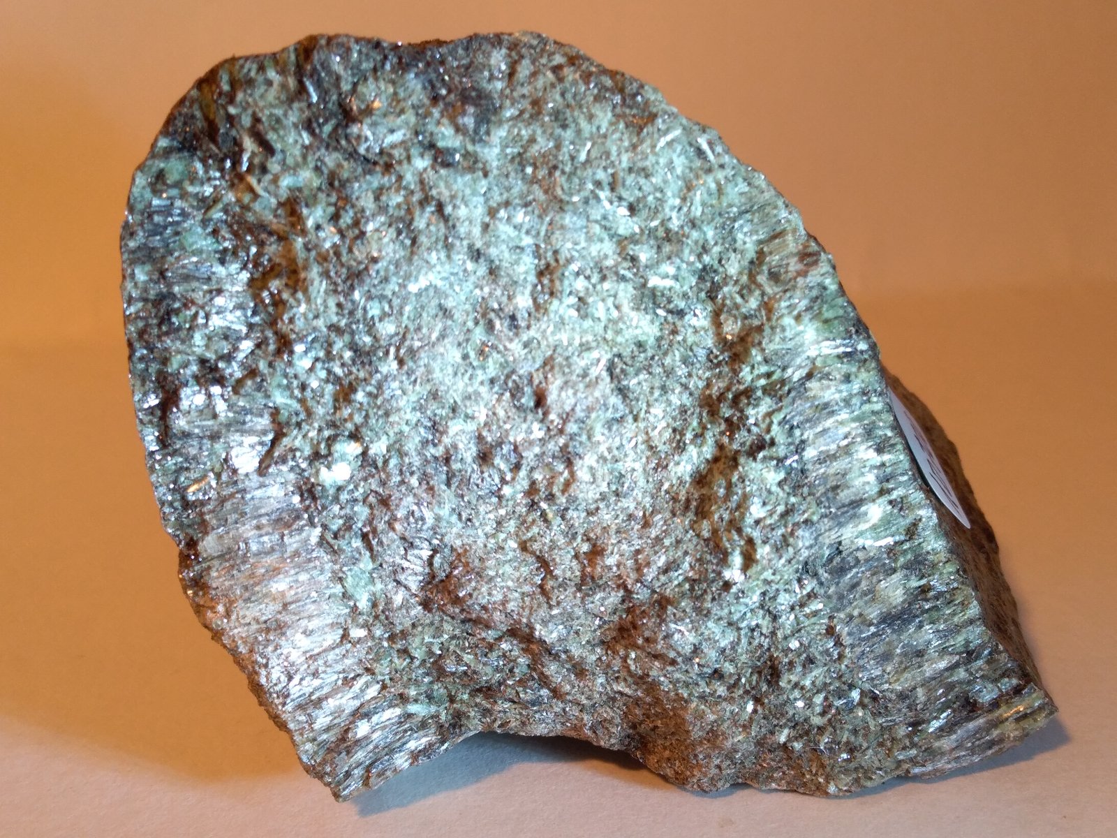 Antofilita
66 x 50 mm
(Autor: Sante Celiberti)