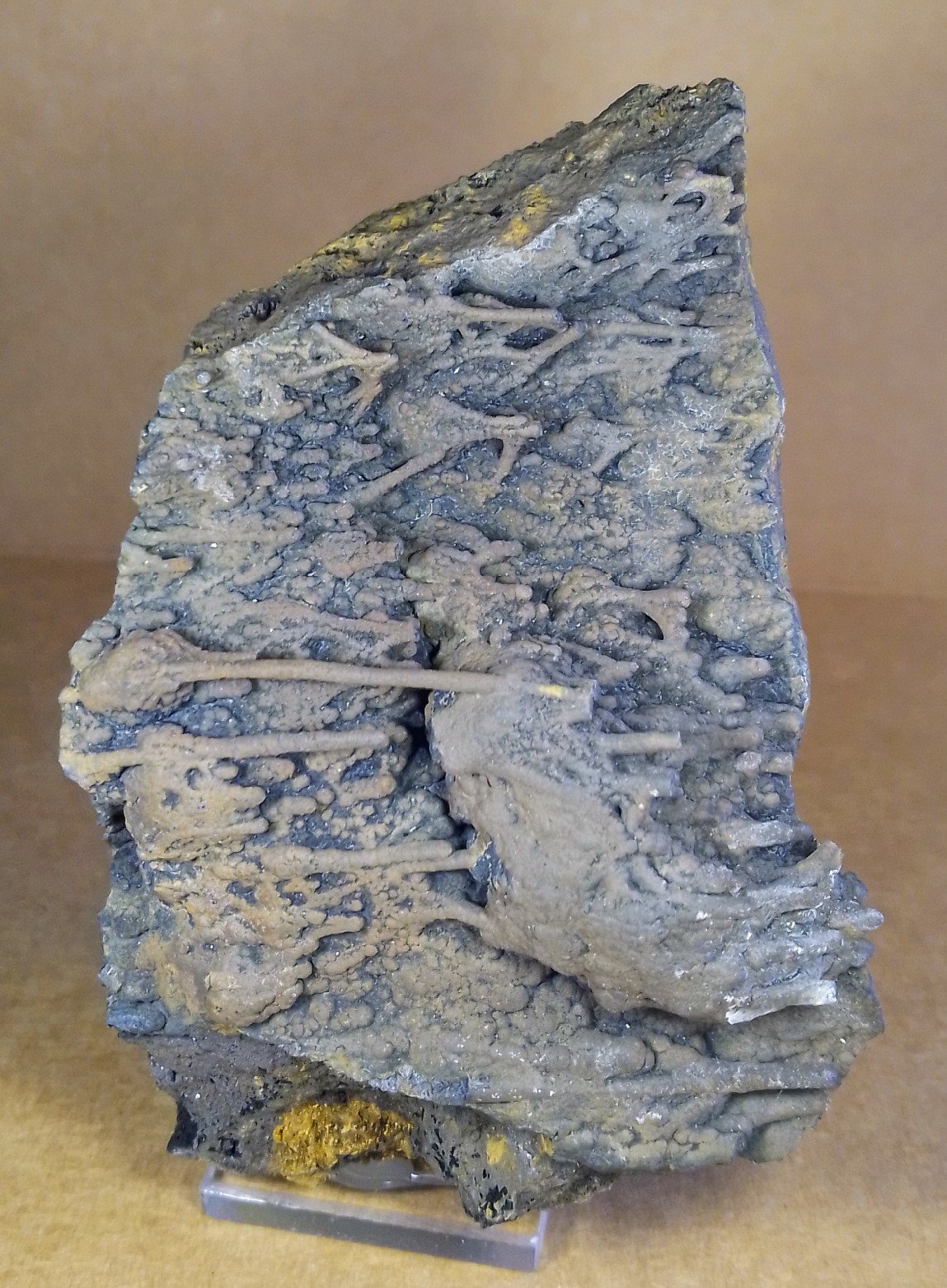 Goethita
6 x 9 cm.
(Autor: Felipe Abolafia)