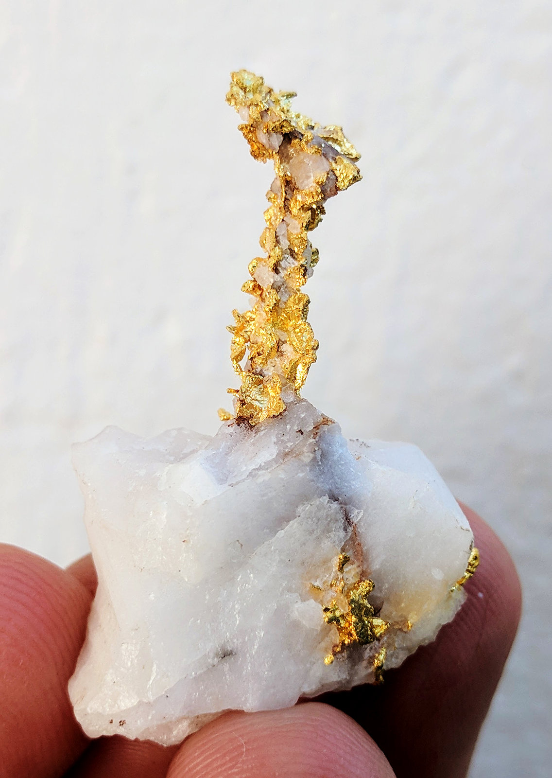 Oro, Cuarzo
3,3 x 2,5 x 1,5 cm
(Autor: carles)
