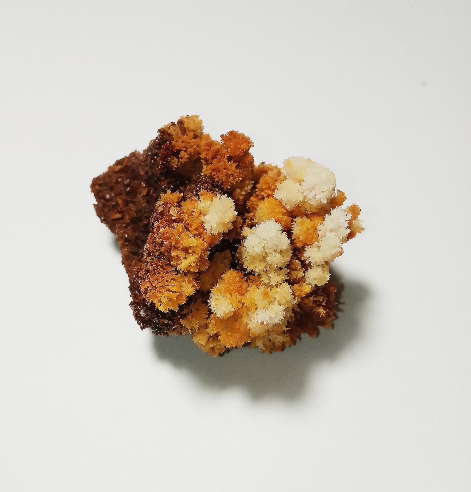 Yeso
4x3x3cm
(Autor: cantero II)