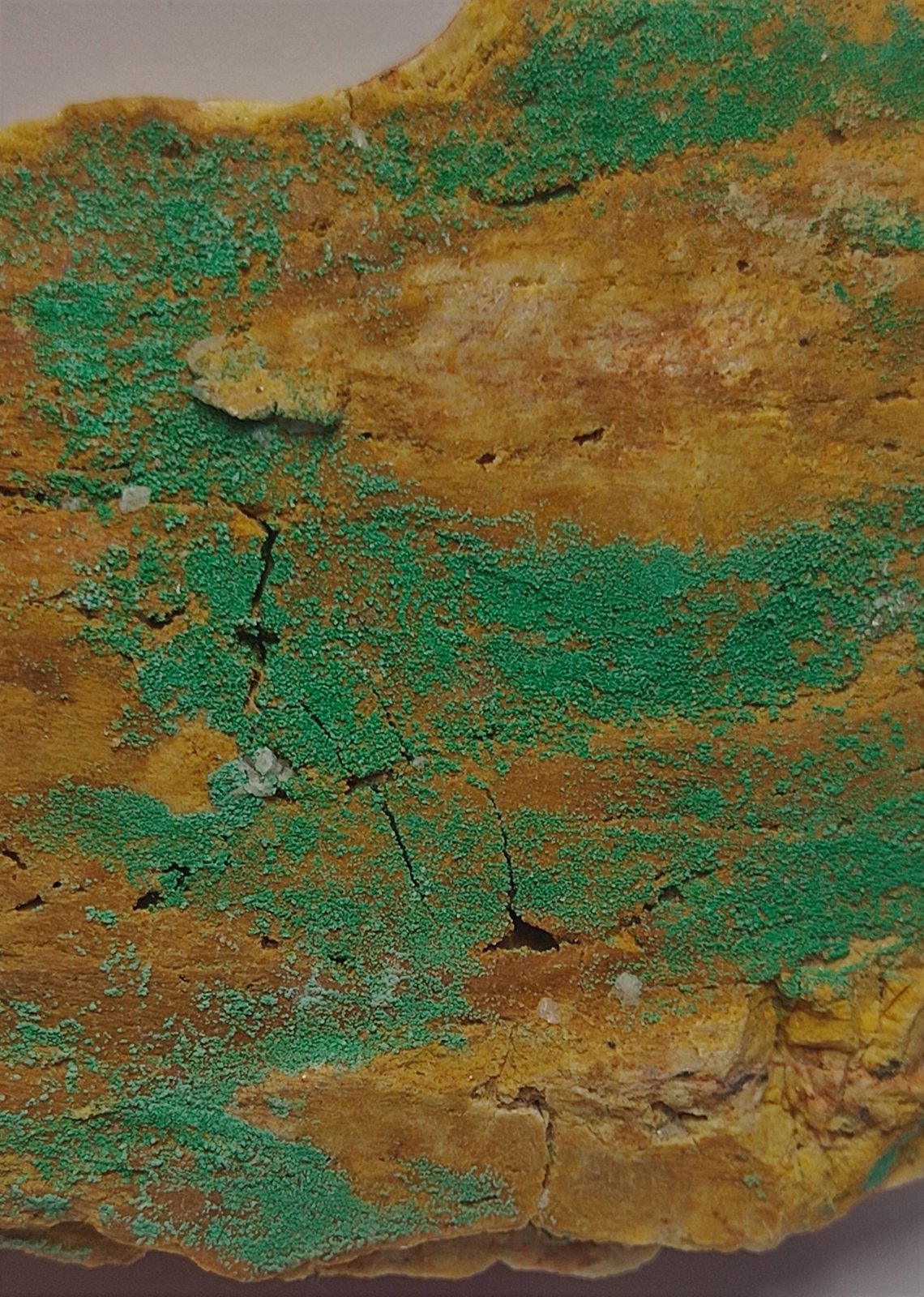 Malaquita
10x7 cm
(Autor: panchito28)