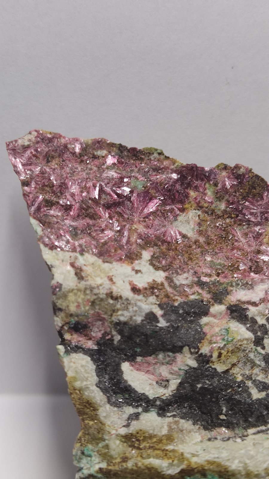 Eritrina [Erythrite]
10x7 cm
(Autor: panchito28)