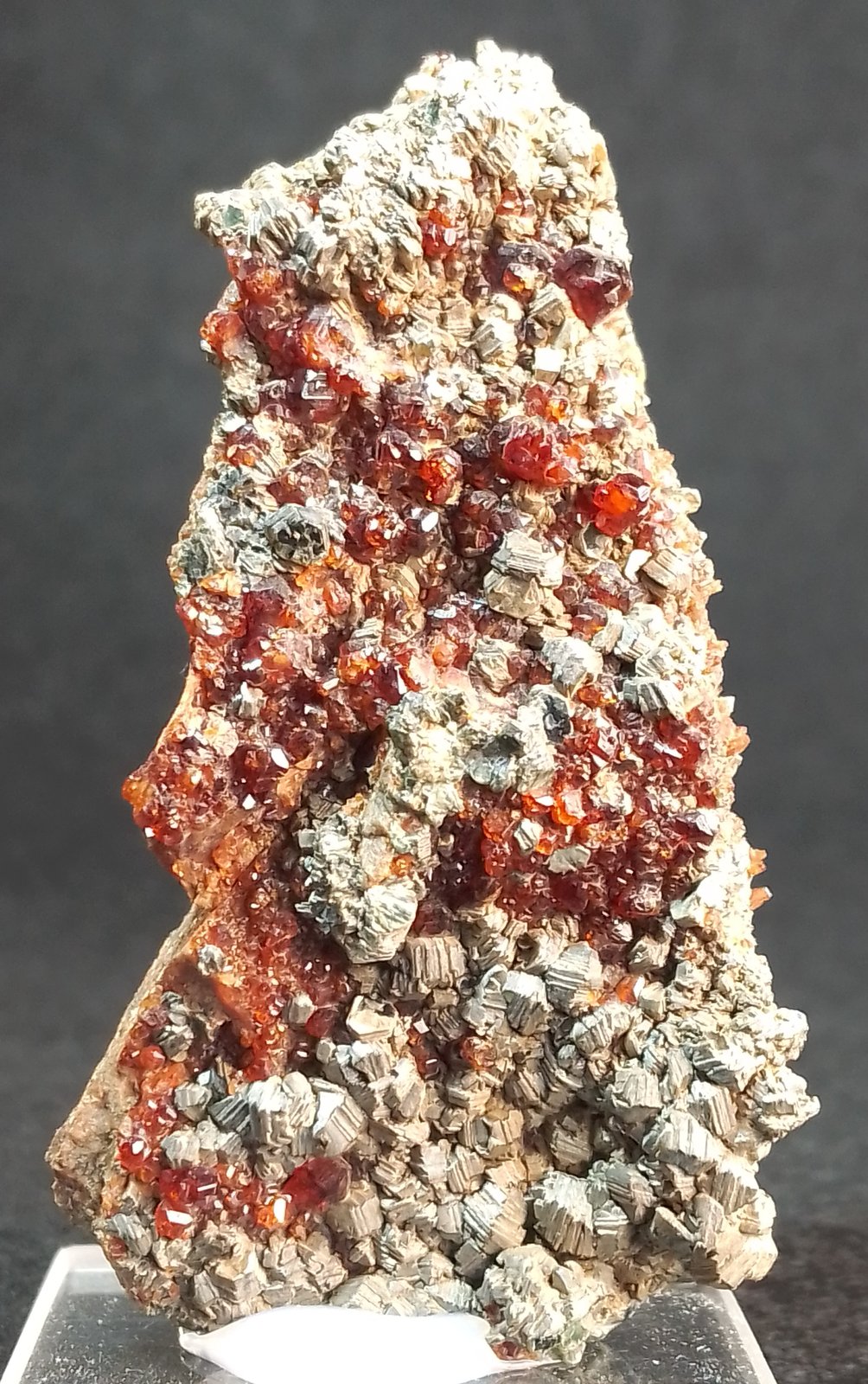 Grossularia [Grossular] (variedad hessonita) y Clinocloro [Clinochlore]
6 x 3 cm.
(Autor: Felipe Abolafia)