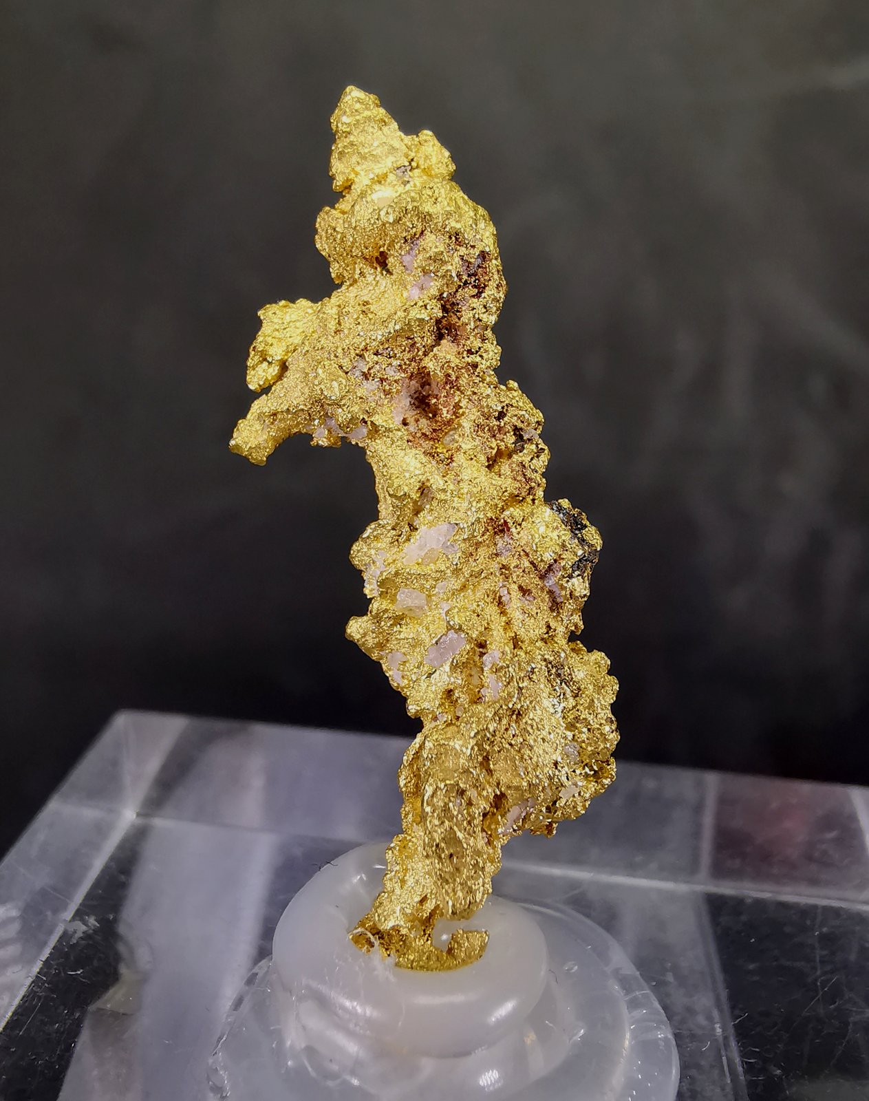 Oro Nativo
3.2cm
(Autor: Diego Navarro)