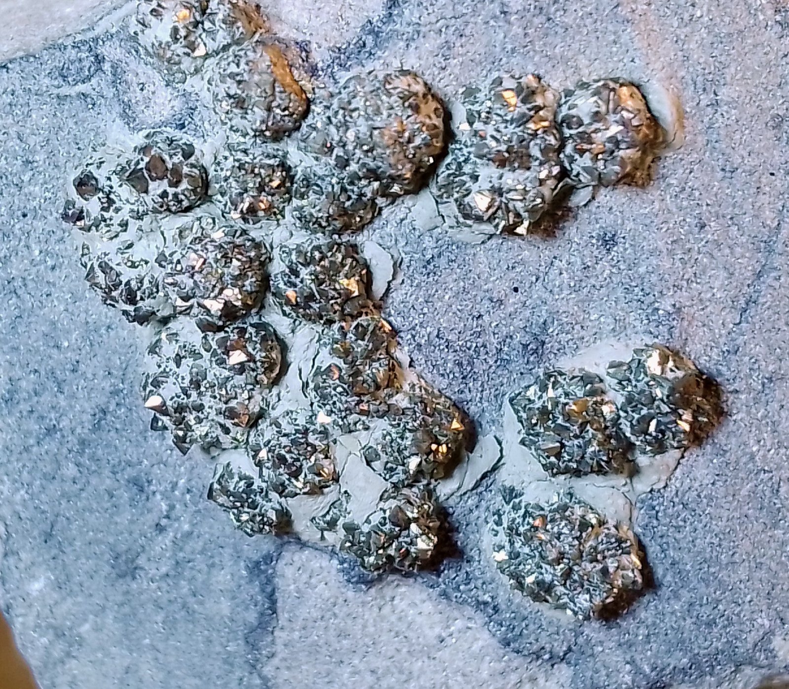 Pirita
4 x 6 cm.
(Autor: Felipe Abolafia)