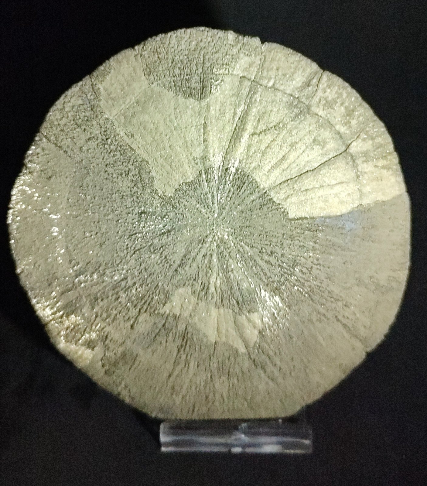 Pirita
105 mm
(Autor: fmk)