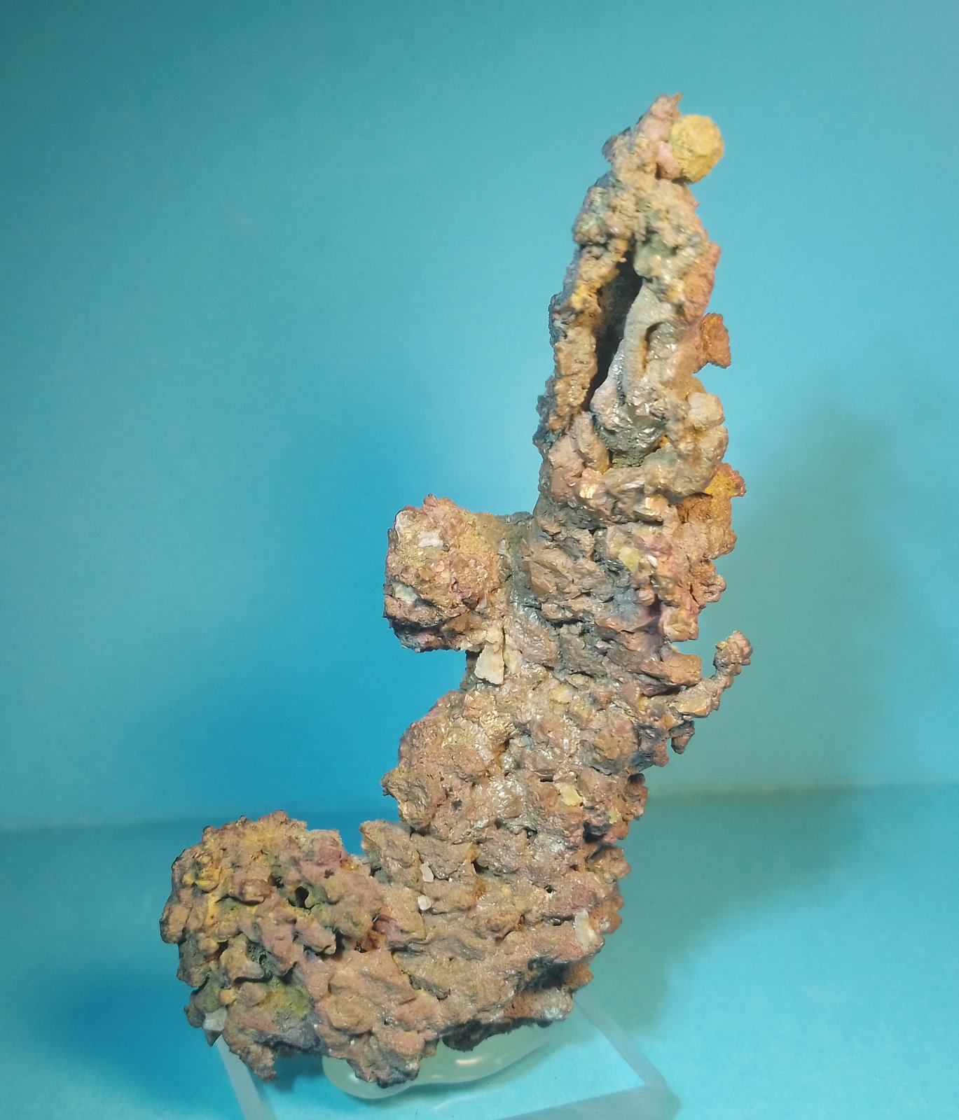 Cobre
4 x 7 x 2 cm.
(Autor: Felipe Abolafia)