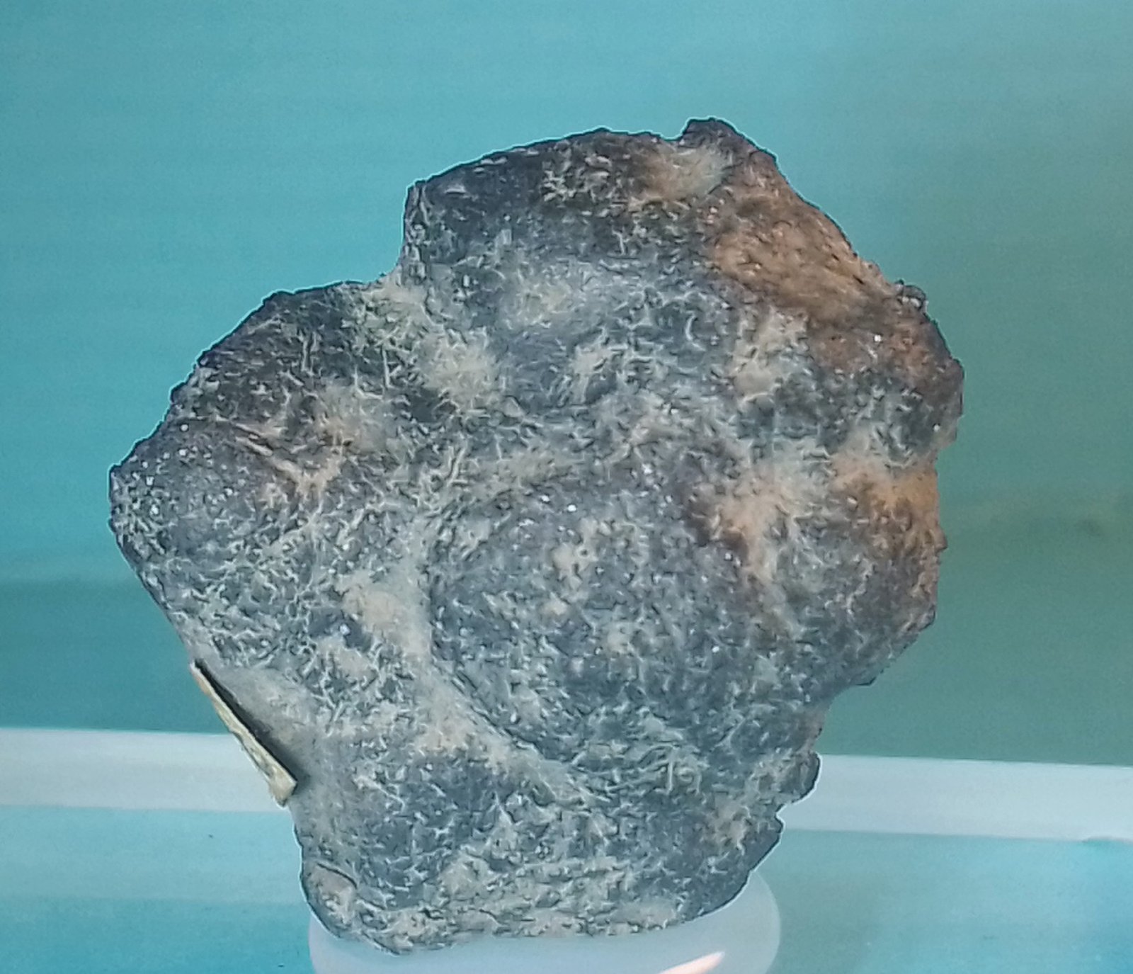 Rutilo
2 x 2 cm.
(Autor: Felipe Abolafia)