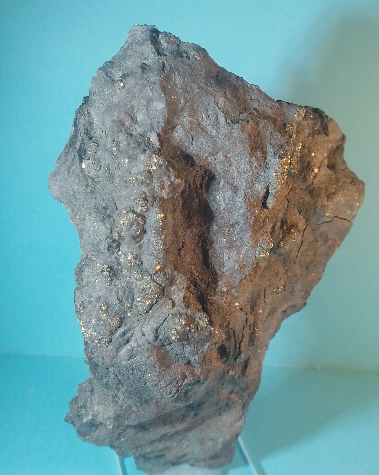 Pirita (variedad botroidal)
6 x 11 x 3 cm.
(Autor: Felipe Abolafia)