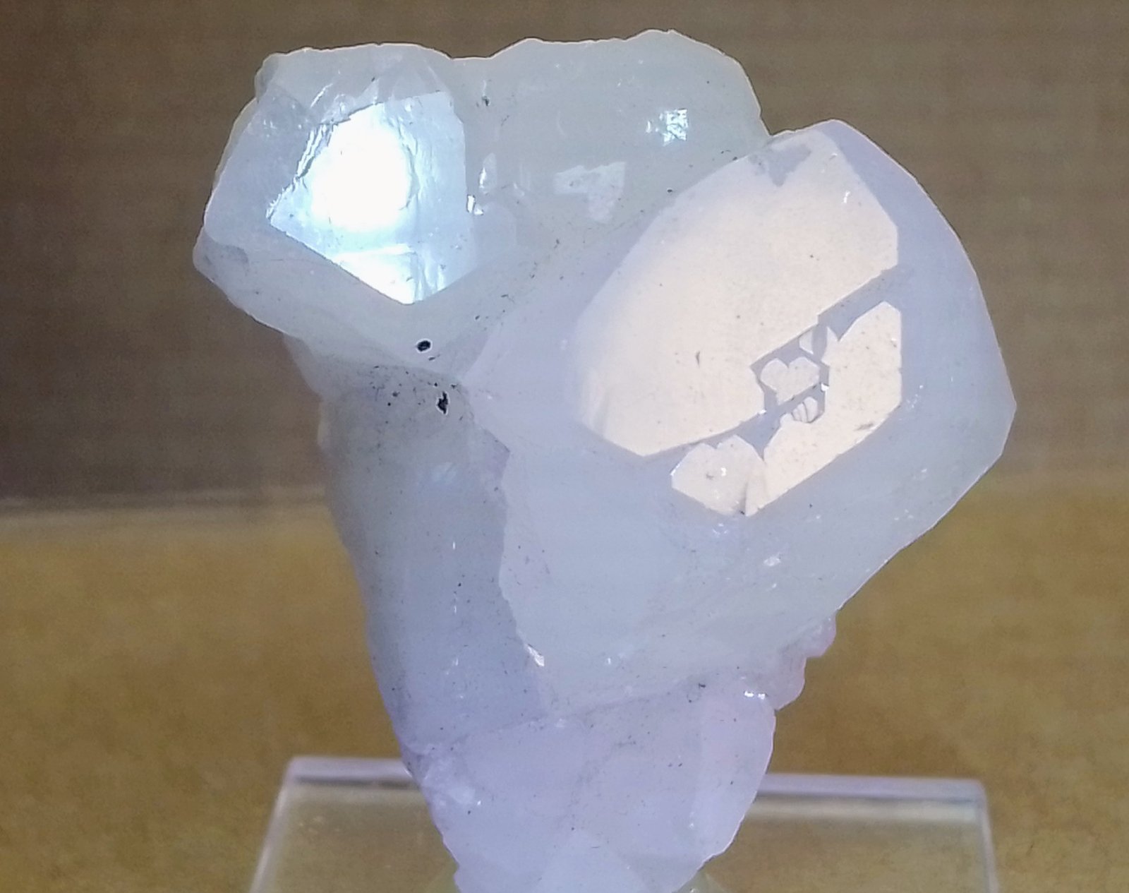Datolita
3 x 3,5 cm.
(Autor: Felipe Abolafia)