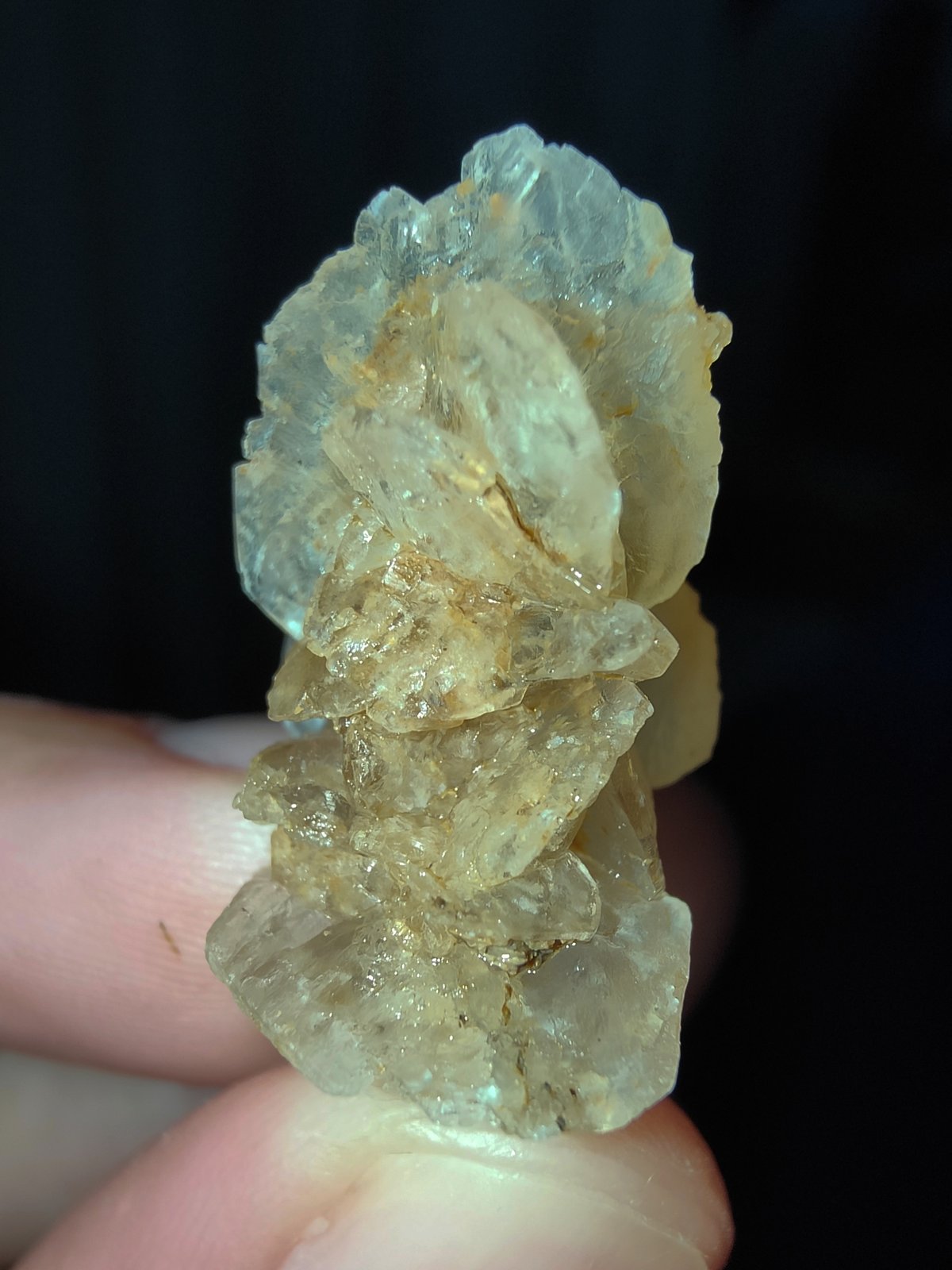 Yeso
2-3 cms
(Autor: AntaresGC)