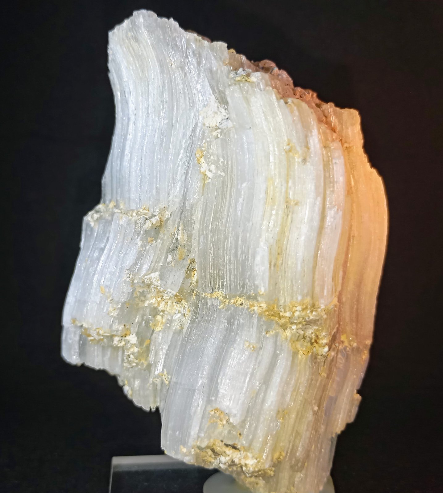 Yeso
9,5 x 6 cm.
(Autor: Felipe Abolafia)