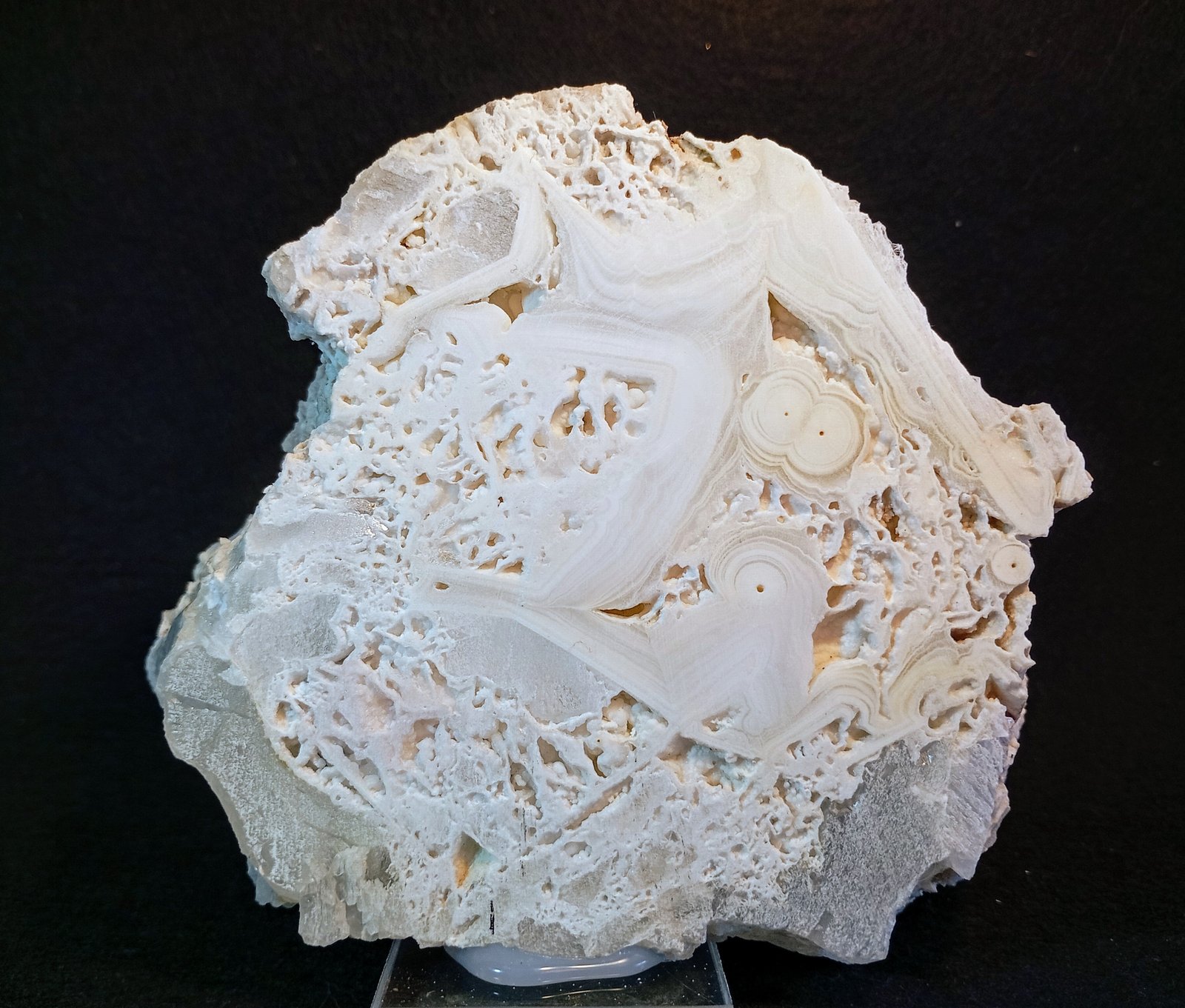 Celestina
13 x 11 cm.
(Autor: Felipe Abolafia)