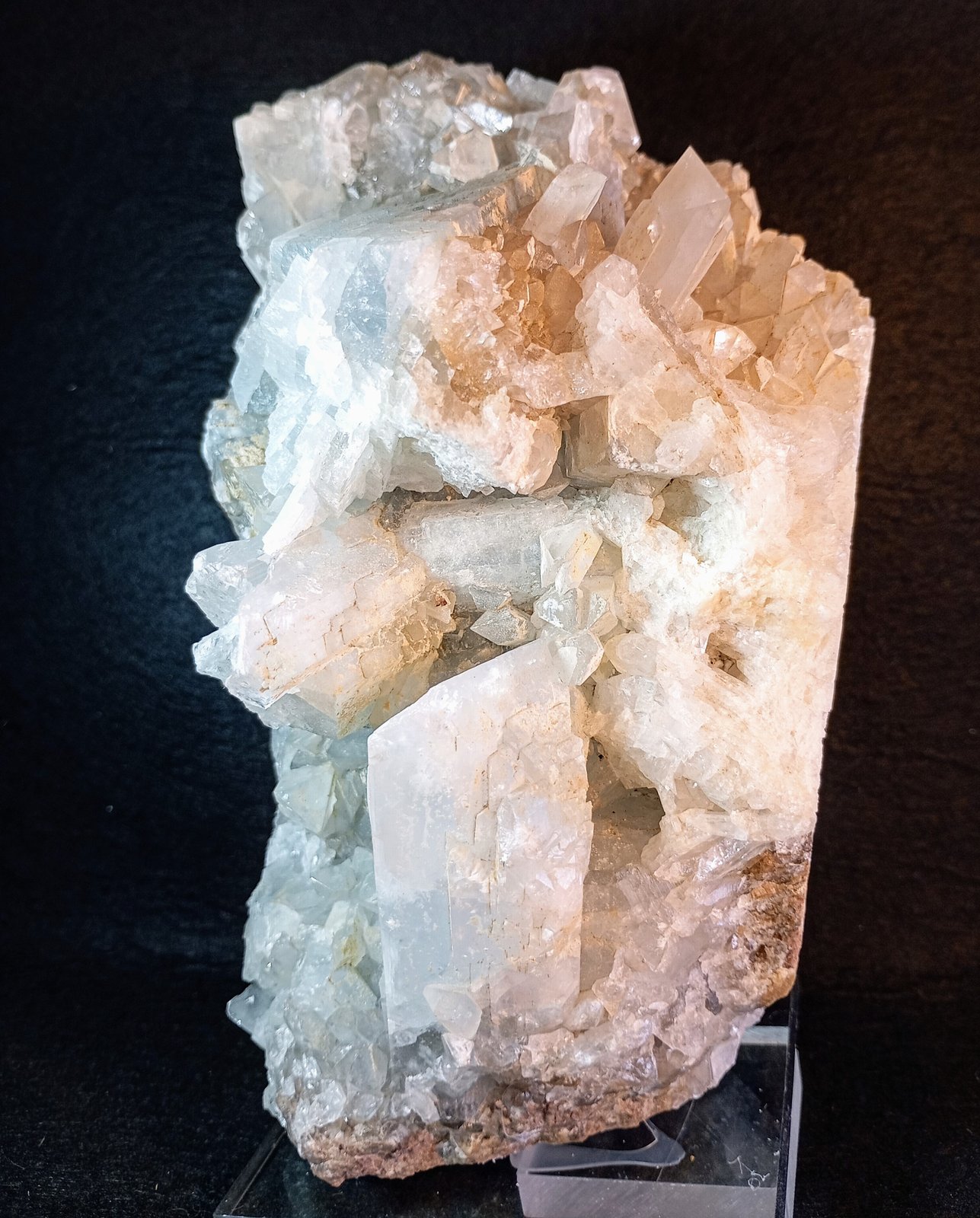 Celestina
18 x 9 cm.
(Autor: Felipe Abolafia)