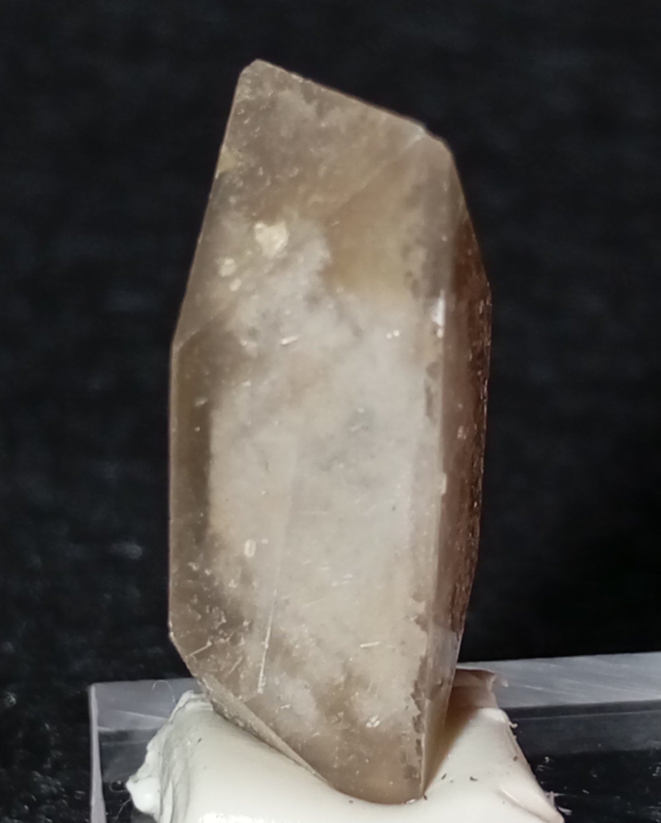 Celestina
2,5 x 1 cm.
(Autor: Felipe Abolafia)