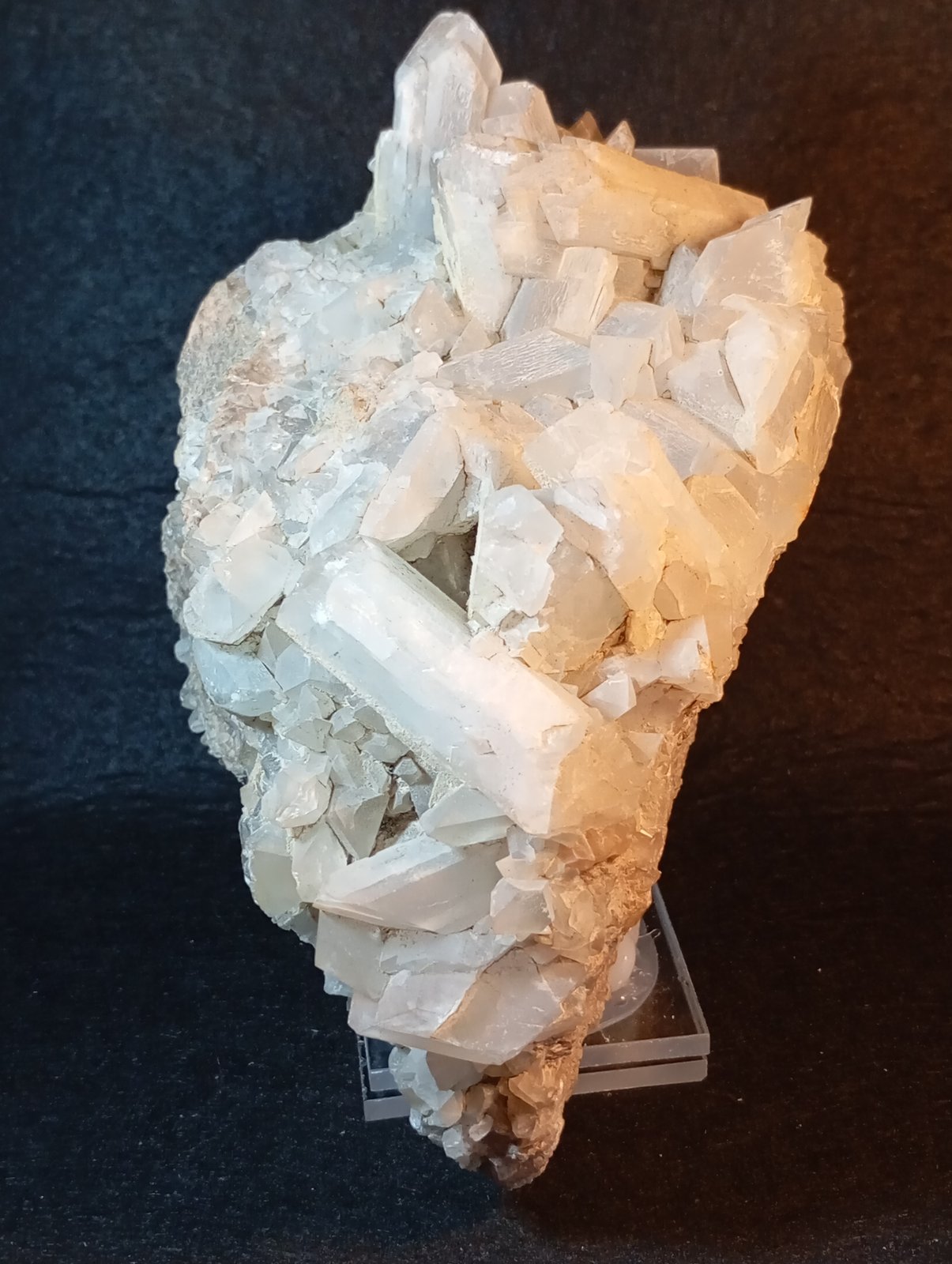 Celestina
9 x 13 cm.
(Autor: Felipe Abolafia)