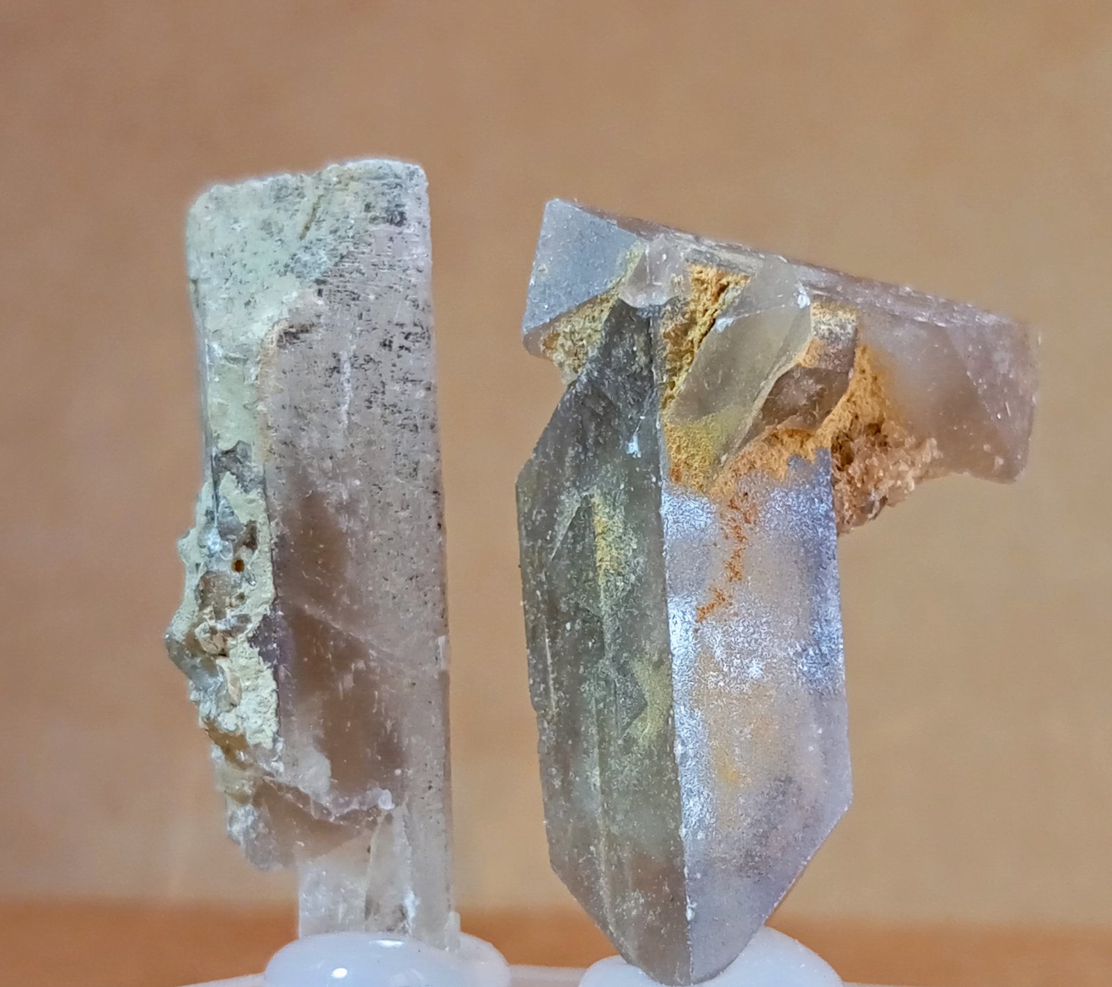 Celestina
3 x 1 cm.
(Autor: Felipe Abolafia)